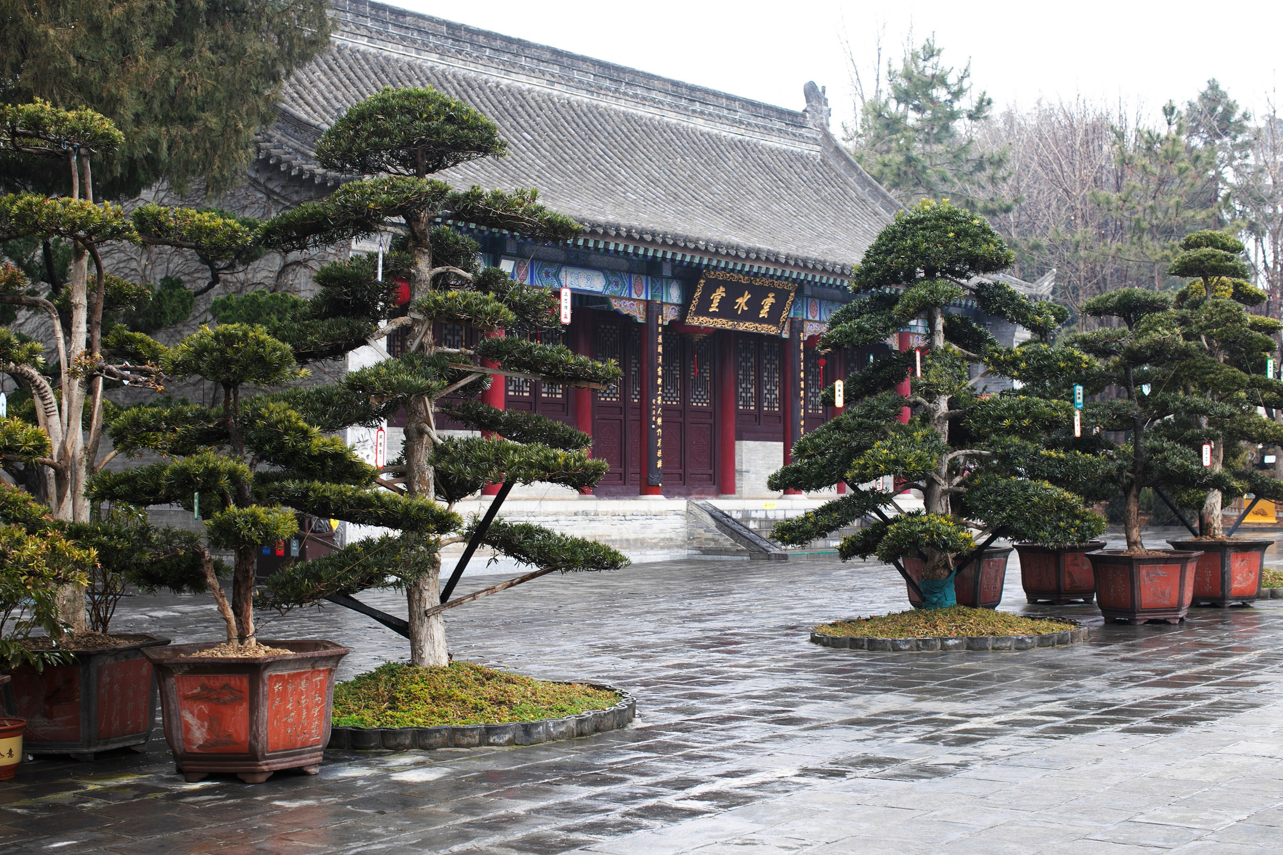 Китай'25: Пекин-Сиань-Шанхай. Фотограф-портретист в Москве