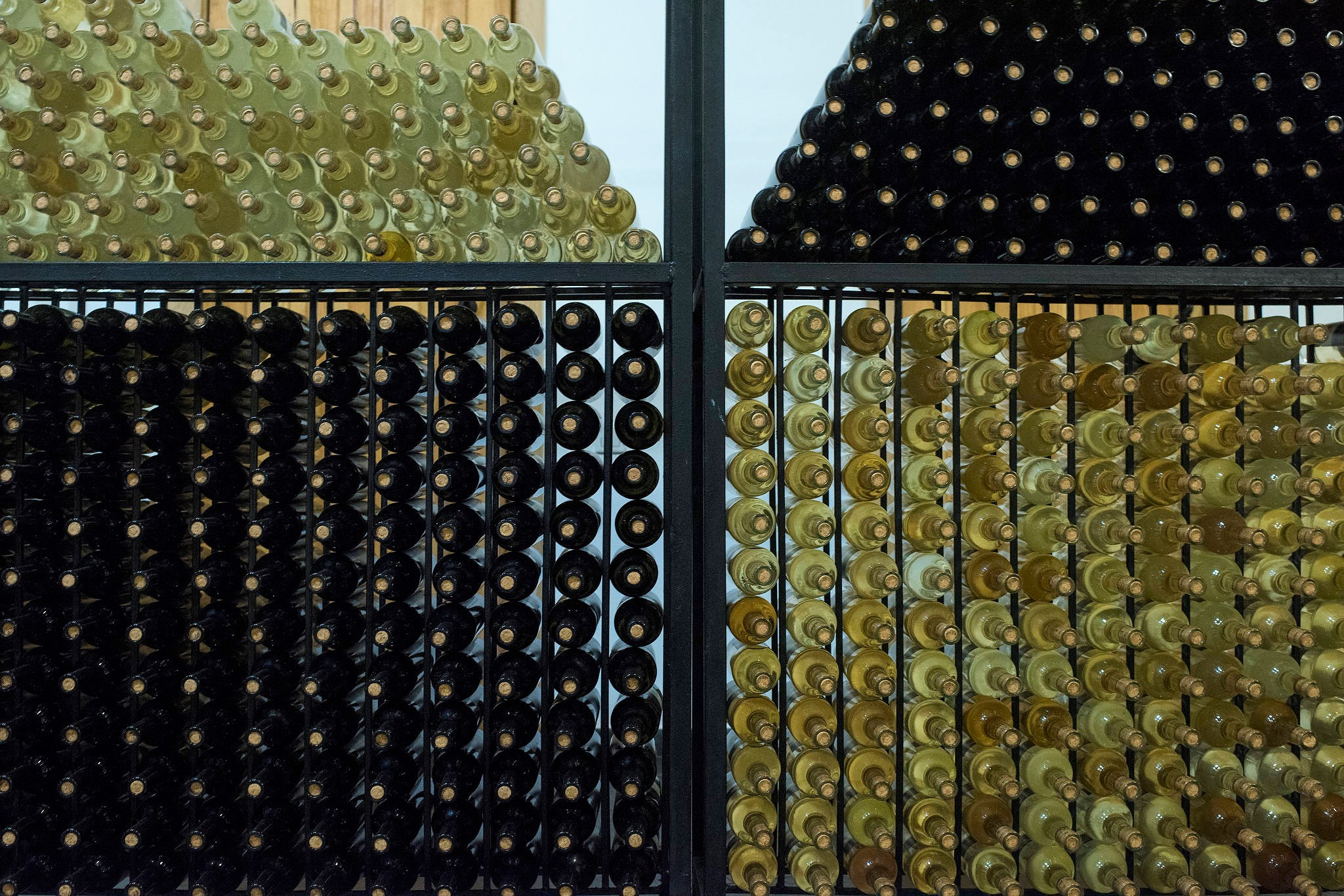 Винодельни Краснодарского края. Фотограф Михаил Мордасов, Сочи. Мероприятия, портреты, спорт, репортаж