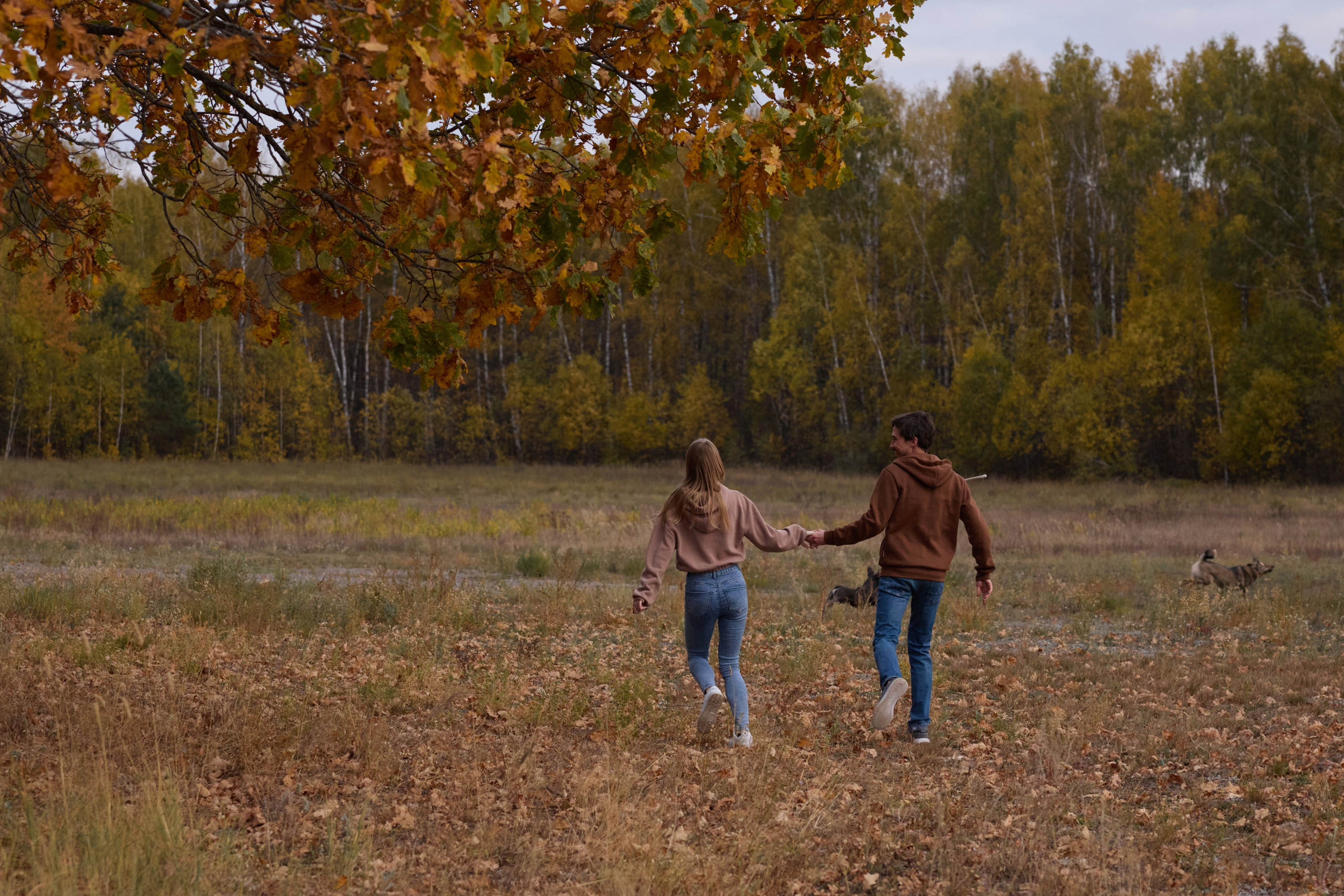 Семейная история. Фотограф анималист в Казани Алина Сулейманова. Фотограф животных