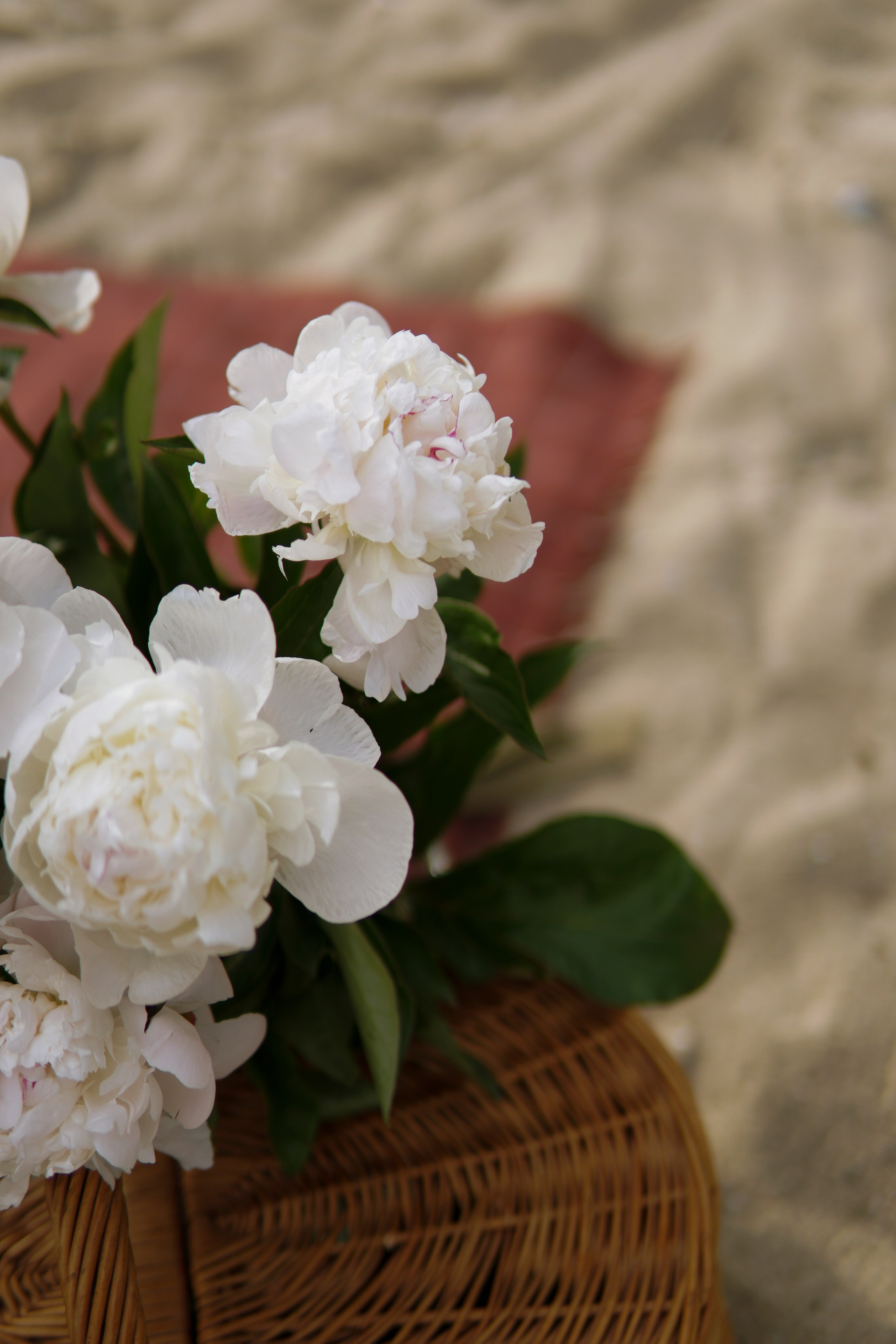 Семейная фотосессия soLOVEy. Фотограф в Ростове-на-Дону Марина Мальцева