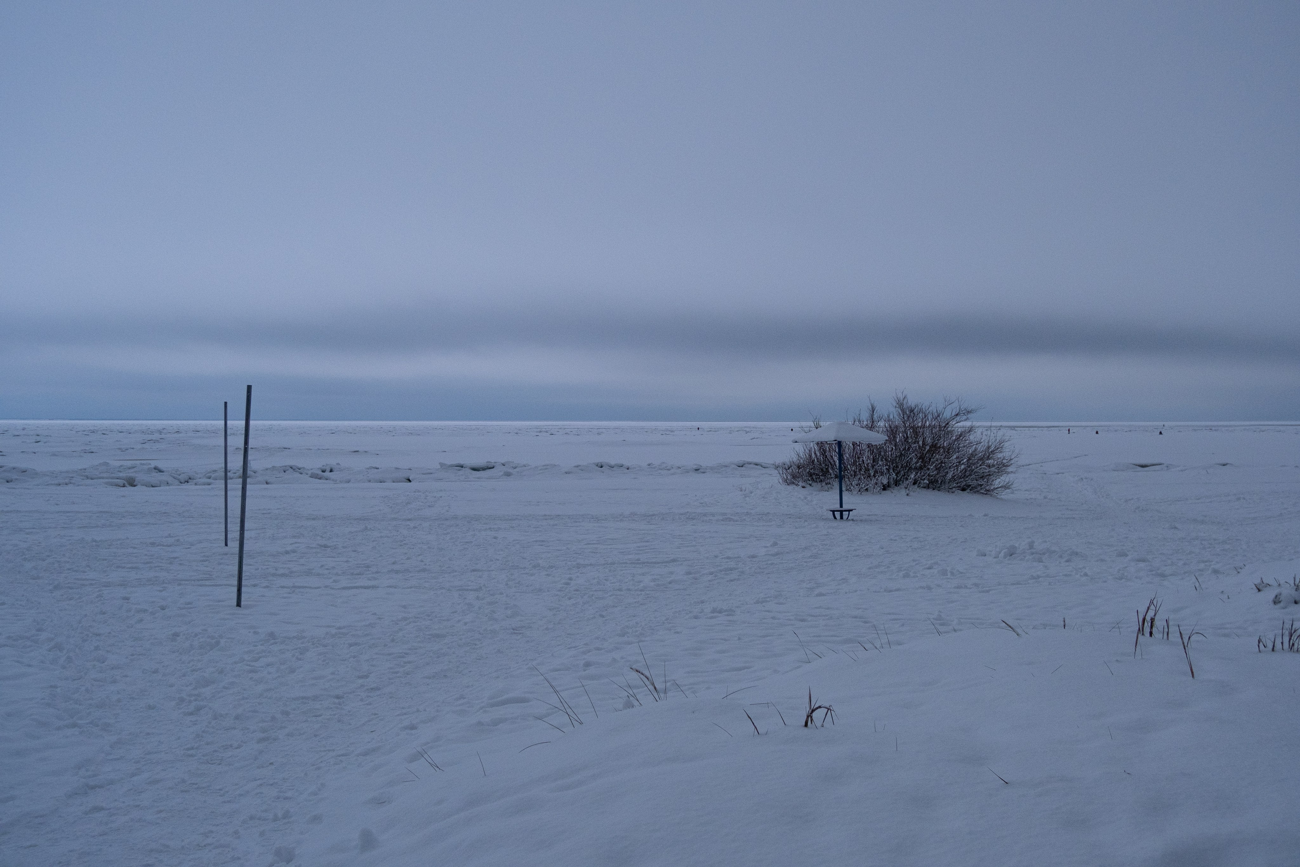 Комарово. Портретный и архитектурный фотограф в Москве и Санкт-Петербурге