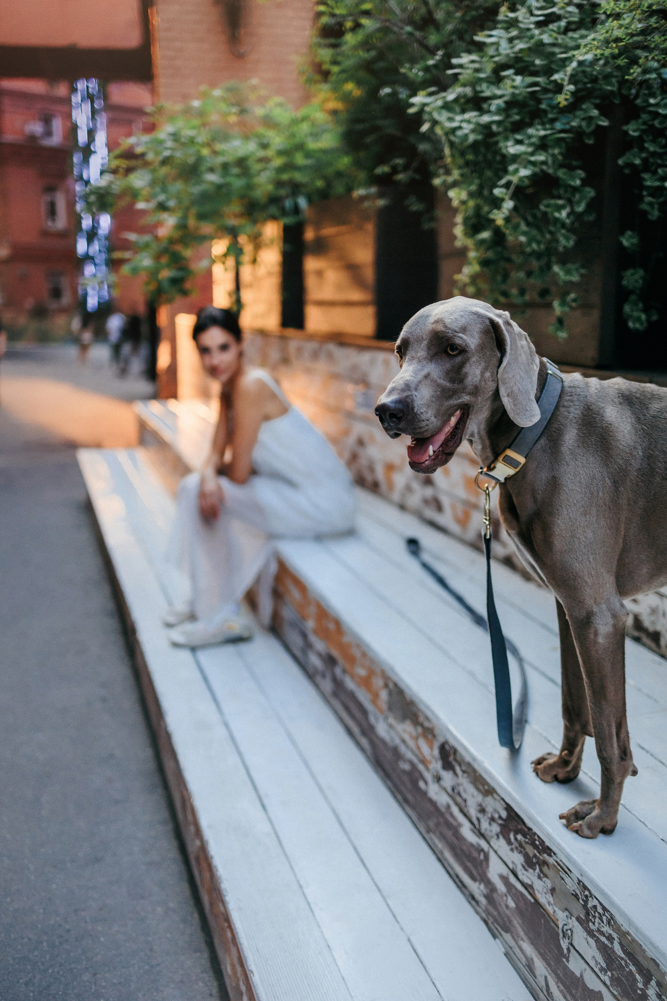 Соня и Майли. Фотограф-анималист Елена Радченко, Москва