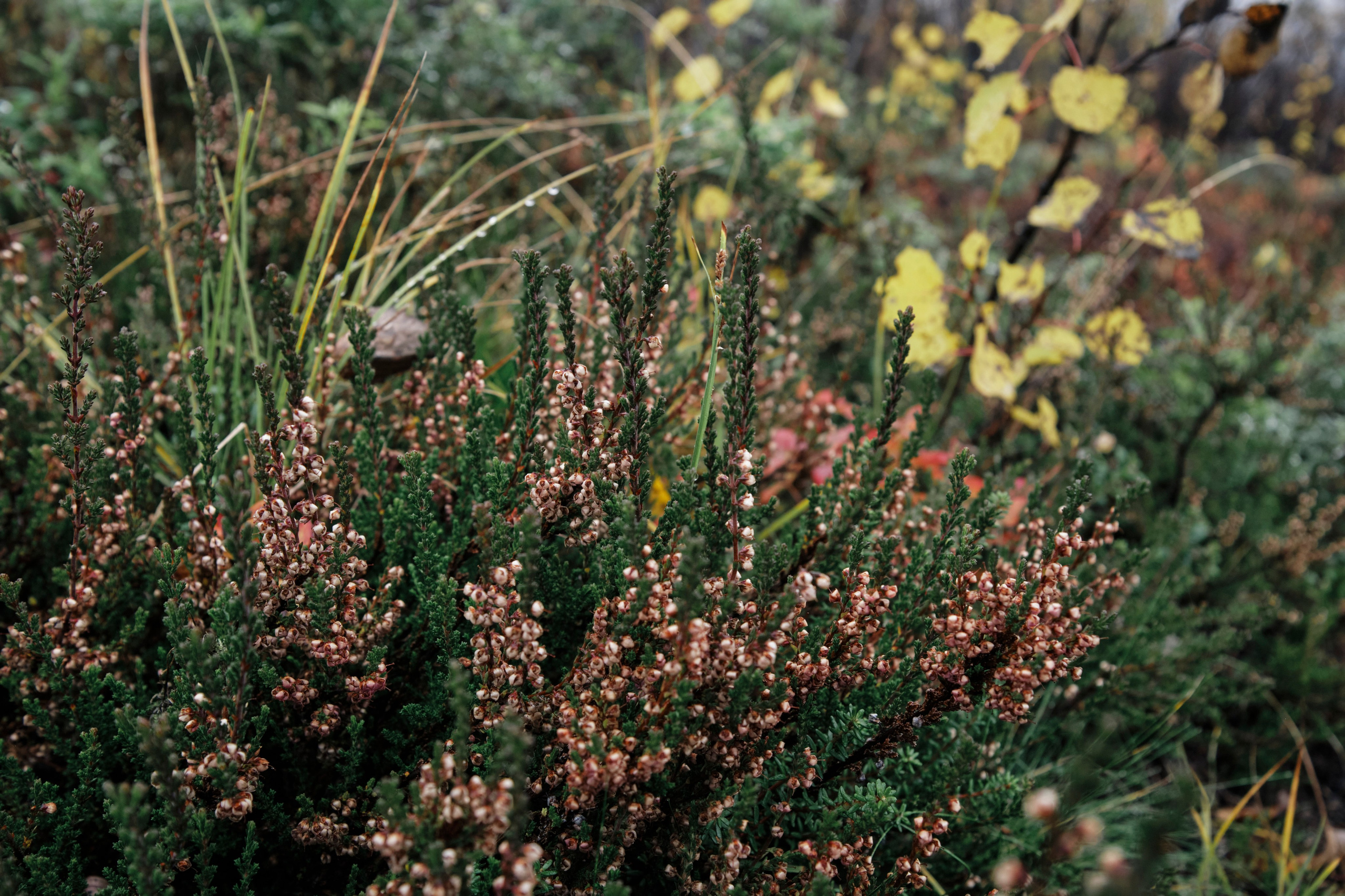 Поездка в Мурманск. Заметки и фото. Елена Павленко. Фотограф. Москва