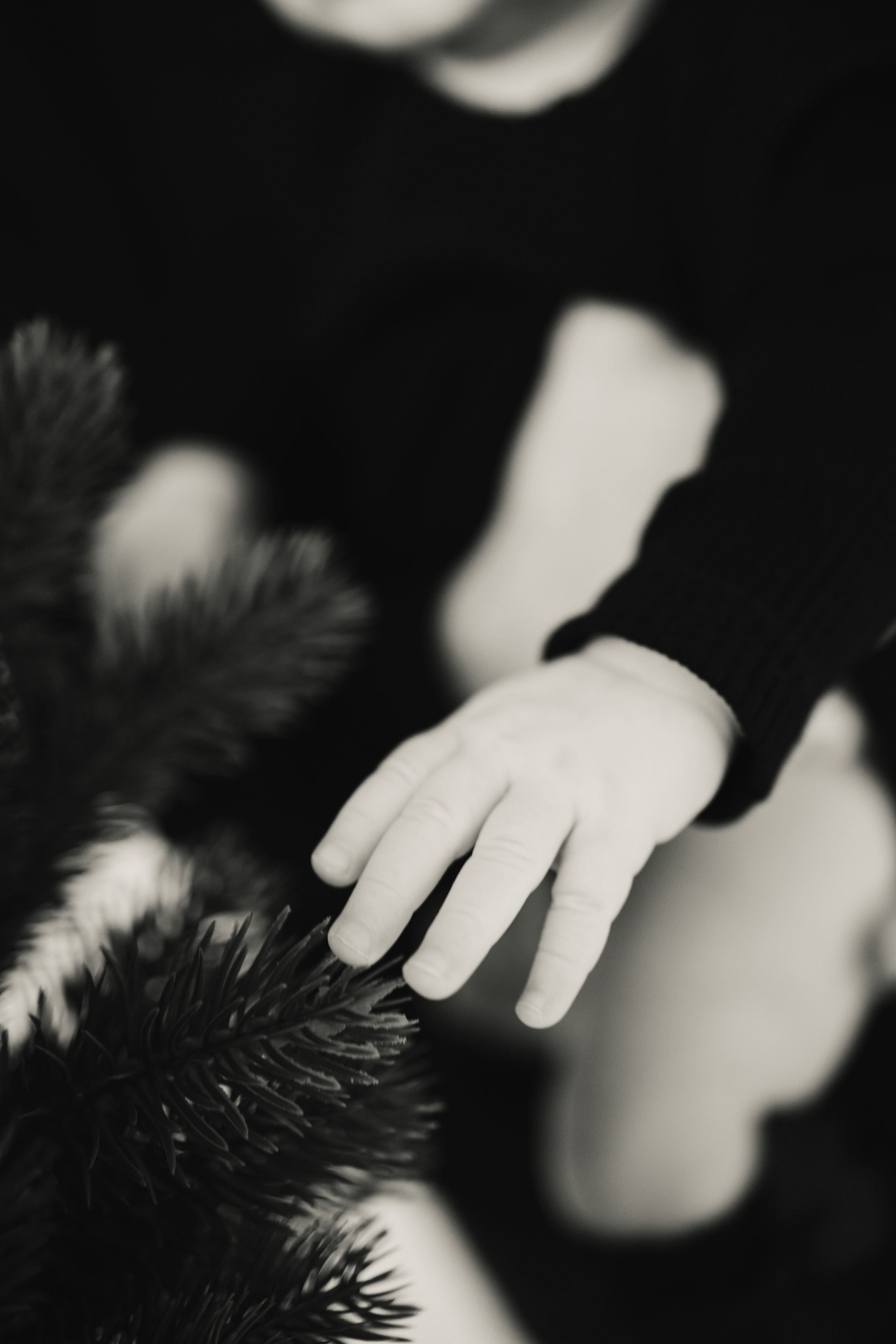 Кристина, Алексей и Анюта. Екатерина Пашкова, фотограф, видеограф в Томске