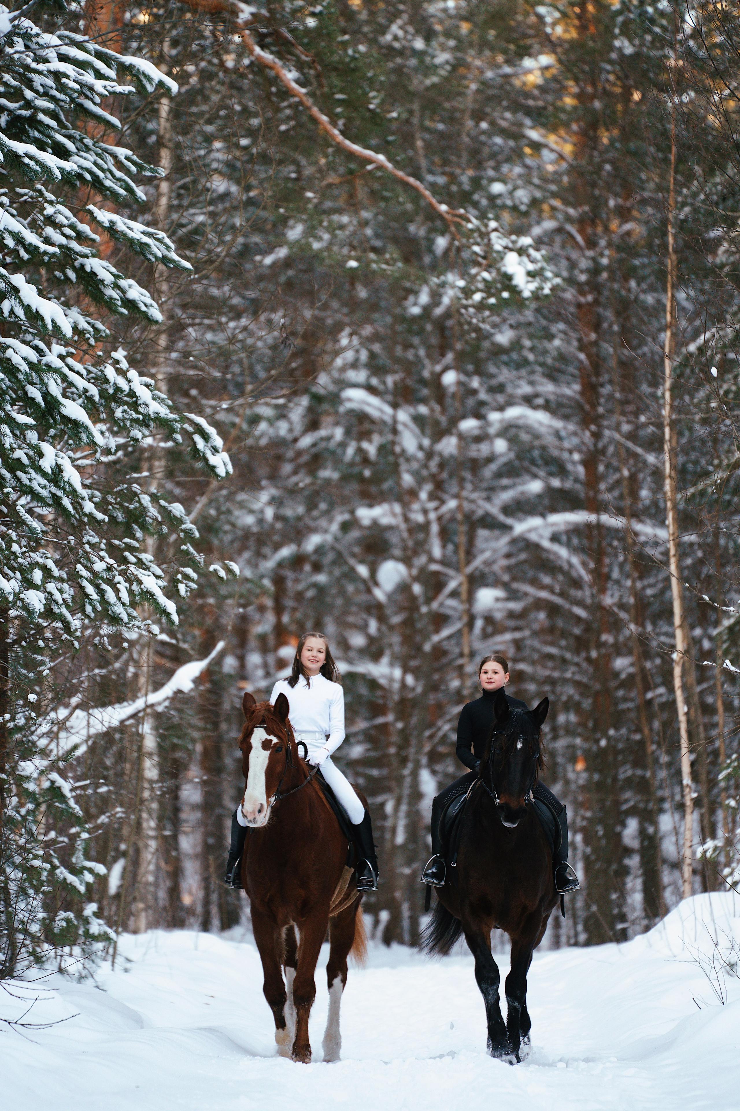 Конные. Фотограф Сибирика (Ирина Кузнецова), Санкт-Петербург и ЛО — портреты, свадьбы и семейные съемки. Творческий подход и качественные фото
