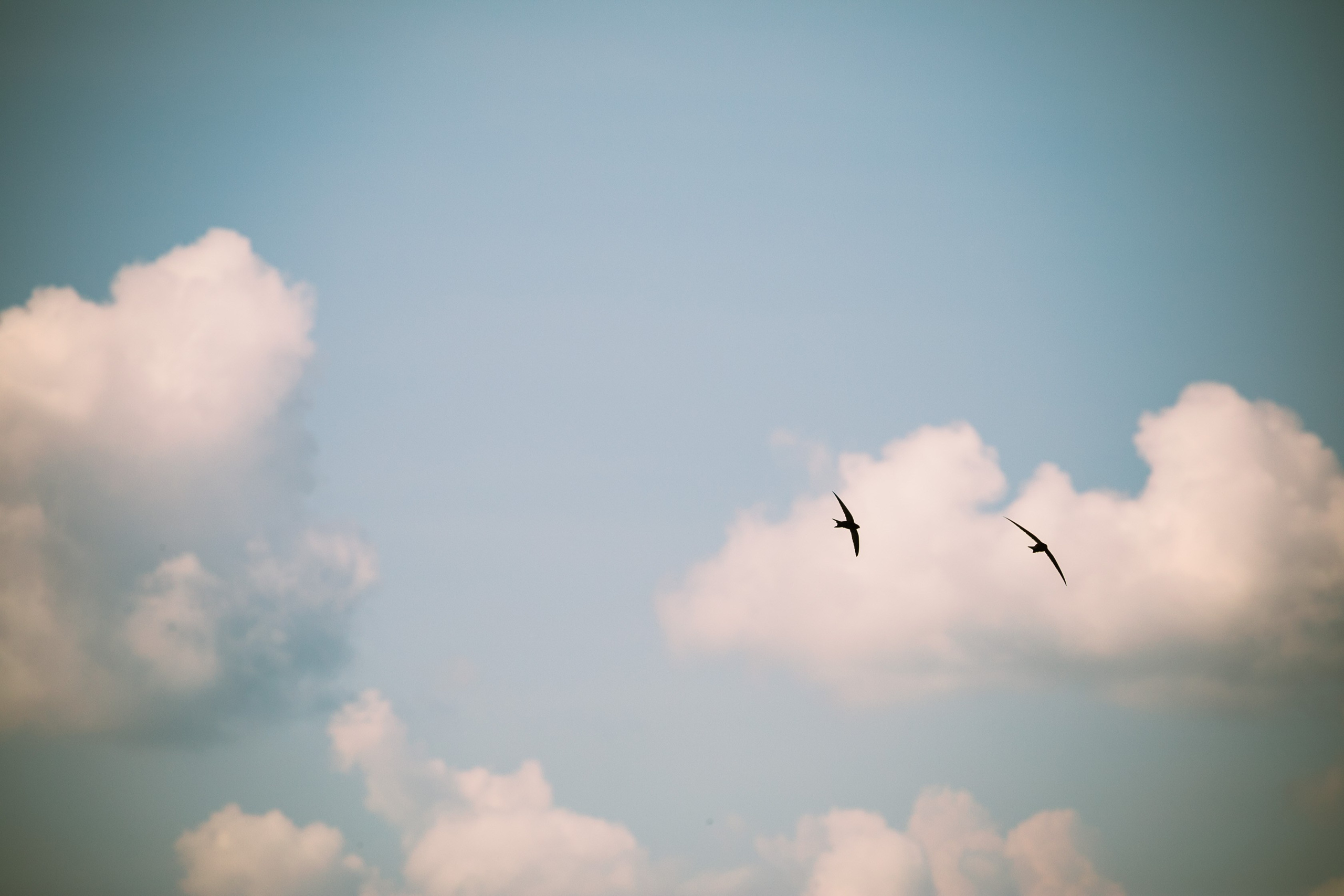 Фотошкола. Творческая Таты Пахомовой