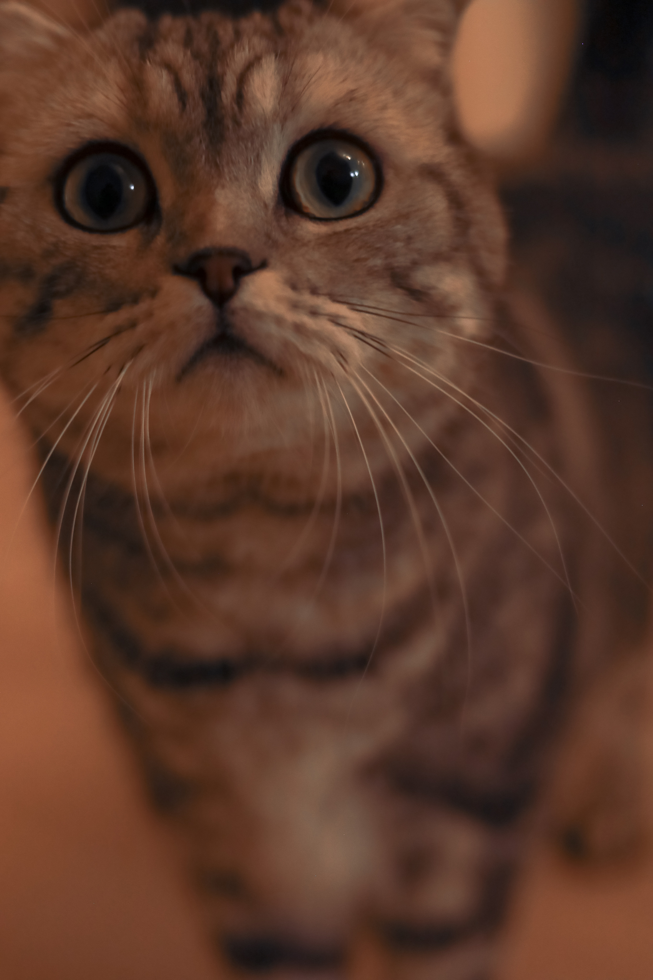 Семейная история: «Теплая». Семейный фотограф, Lifestyle съёмка в Казани