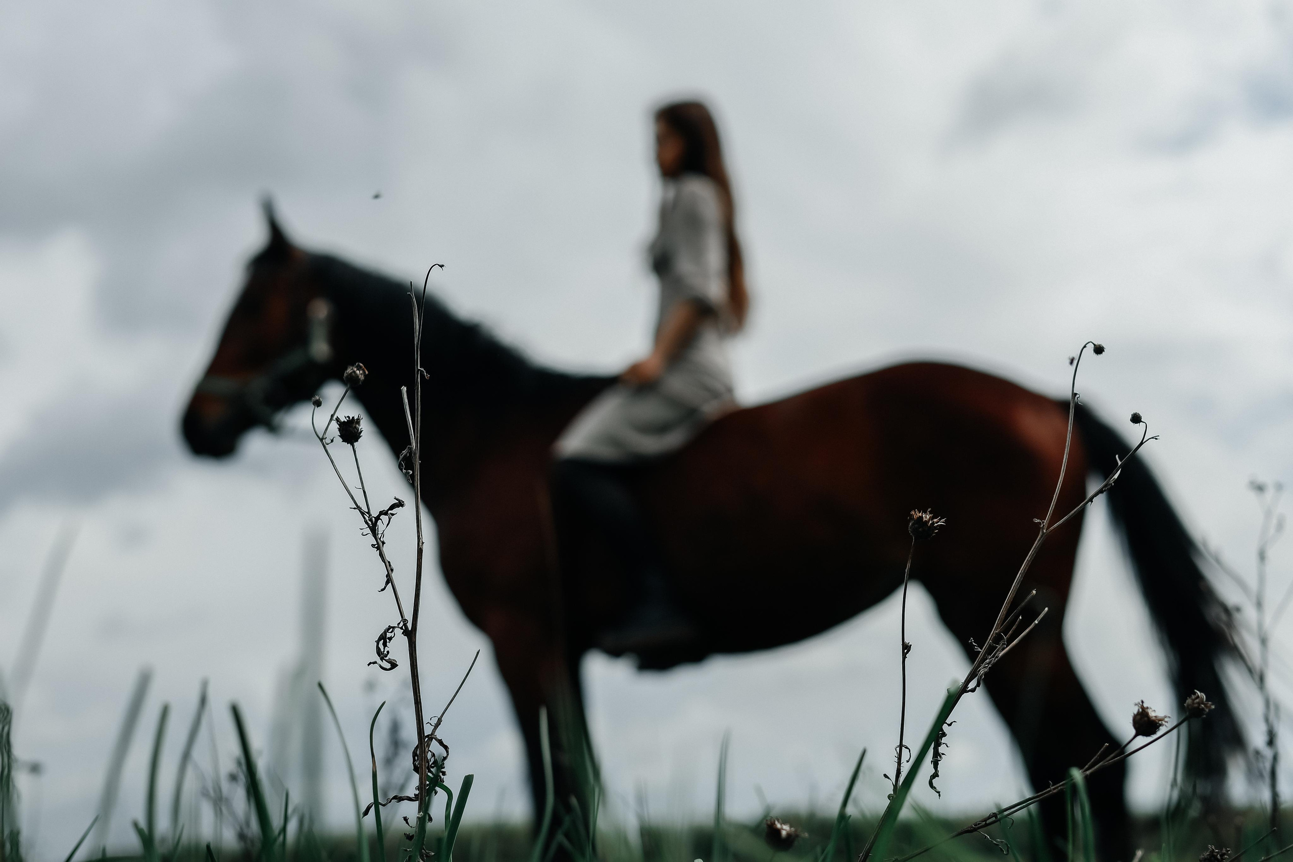 Грация. Семейный фотограф, Lifestyle съёмка в Казани