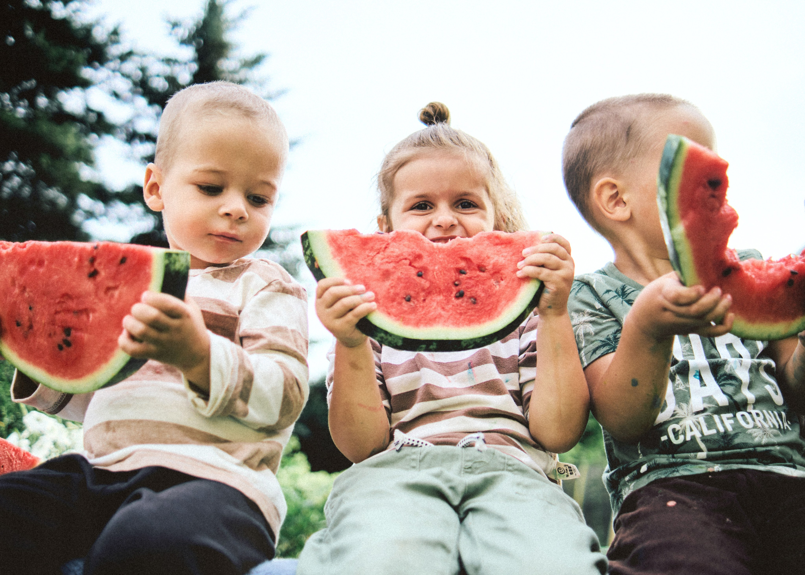 Банда. SHILOVA PHOTO. Шилова Екатерина. Фотограф. Москва