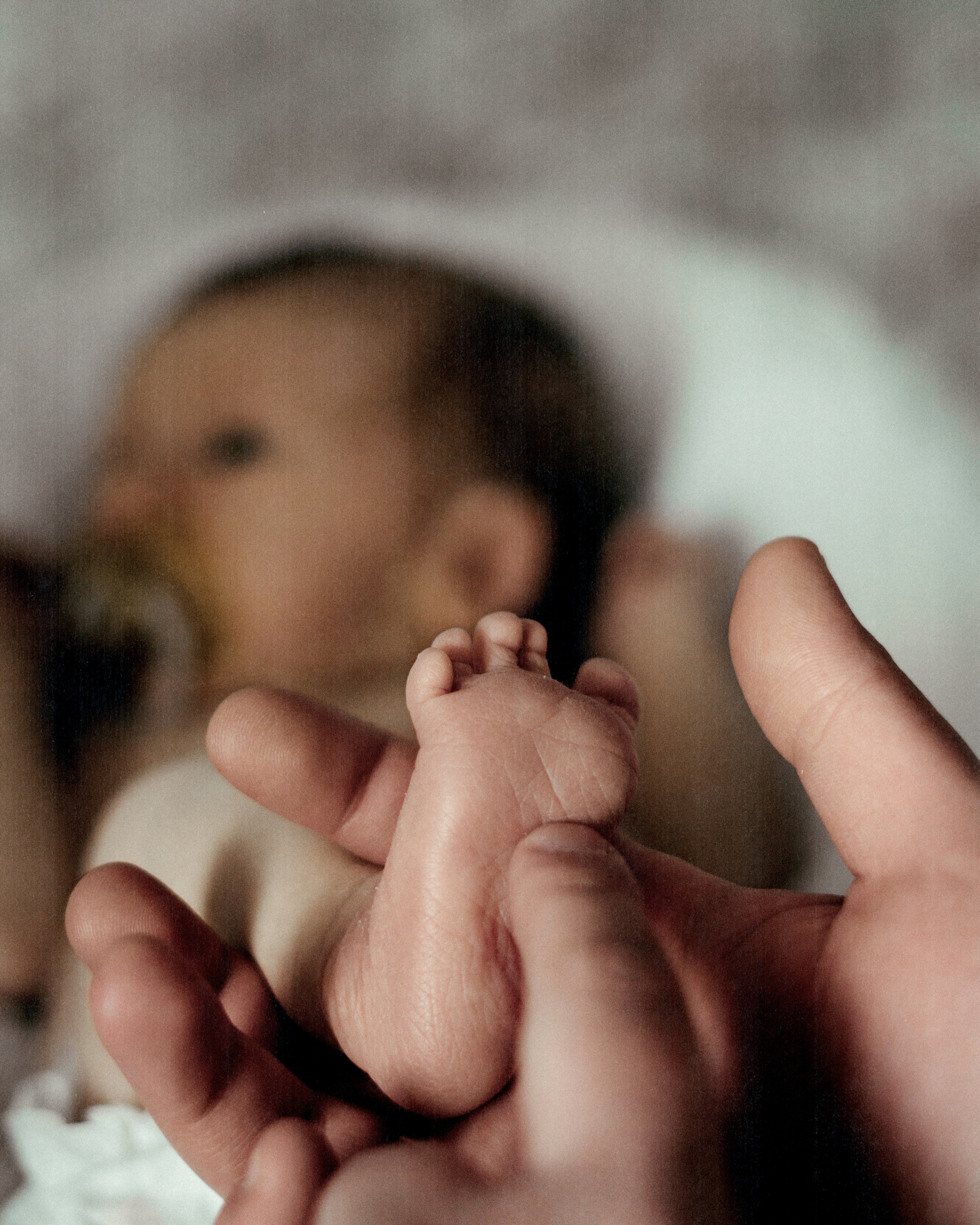 Gosha. SHILOVA PHOTO. Шилова Екатерина. Фотограф. Москва