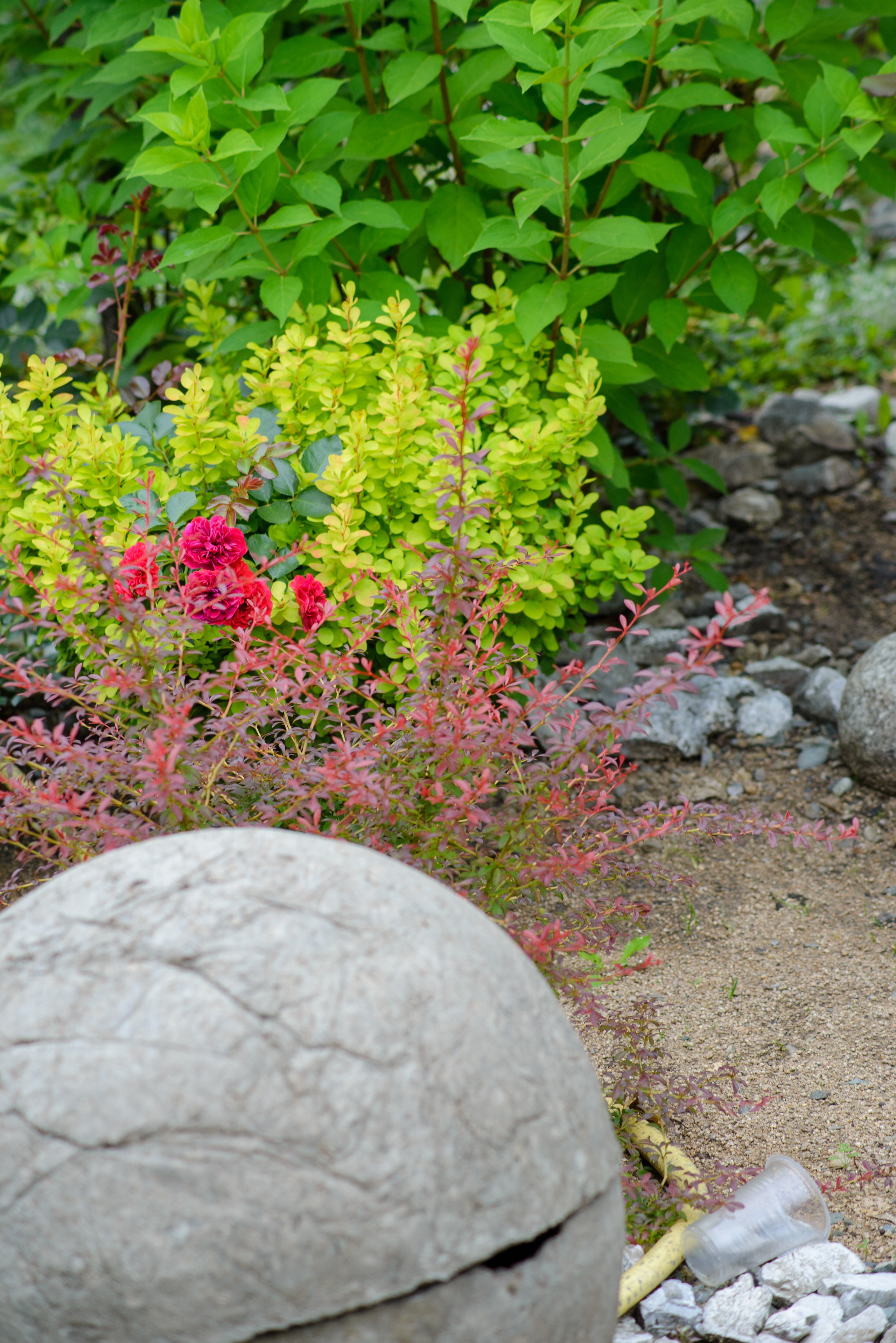 Природа. Фотограф в городе Омске Константин Зоткин