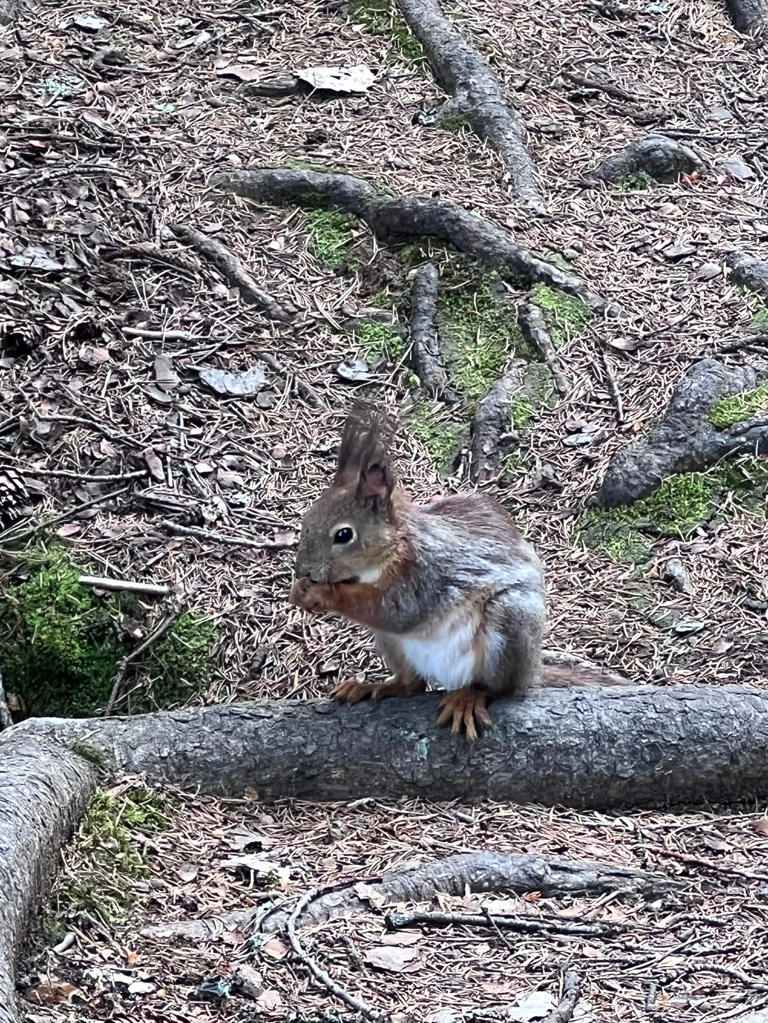 Питер и Выборг. Путешествия со смыслом