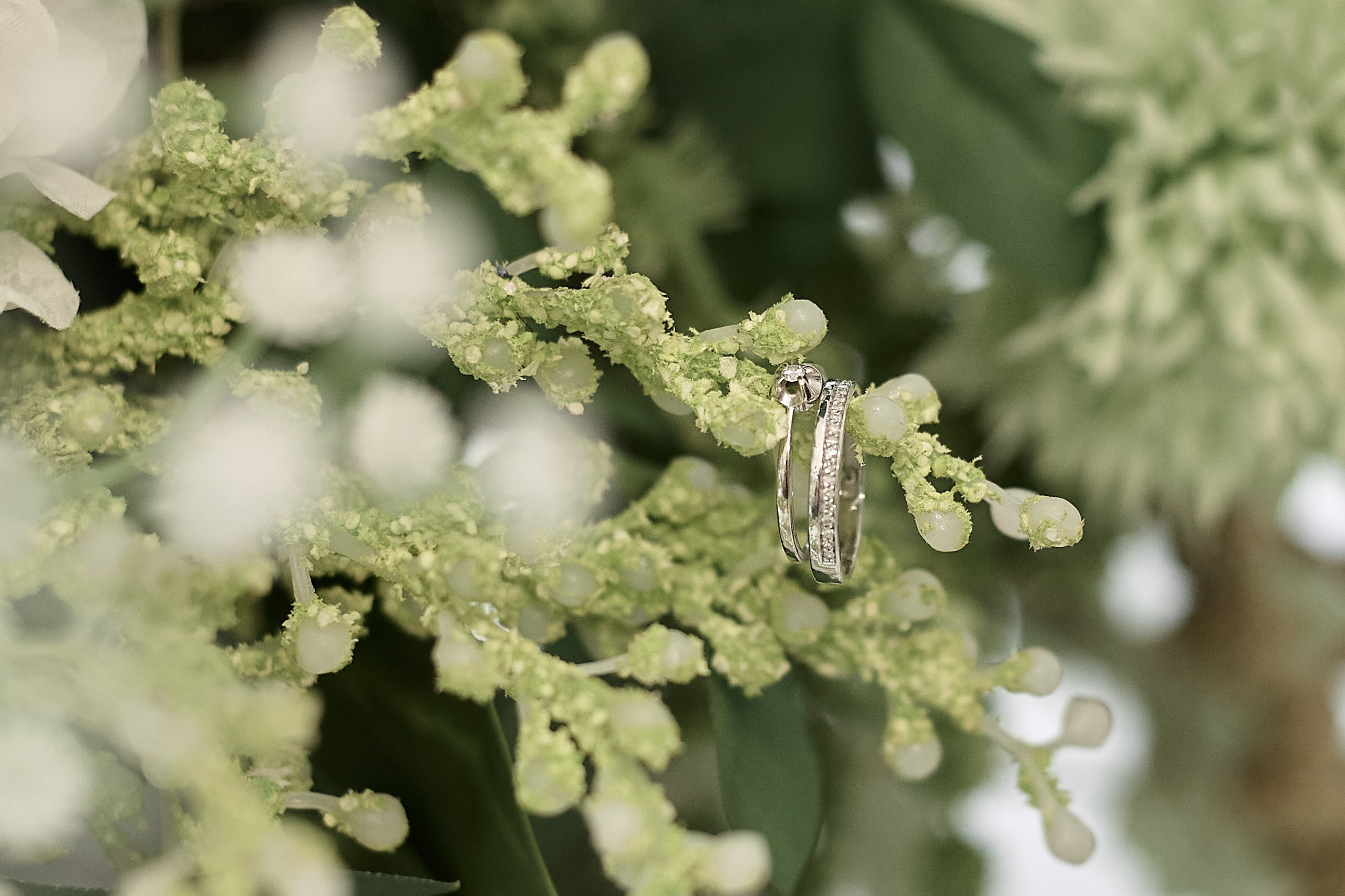 Вилен & Алиса. Фотограф|Ретушер| Екатерина Гришанова|Челябинск