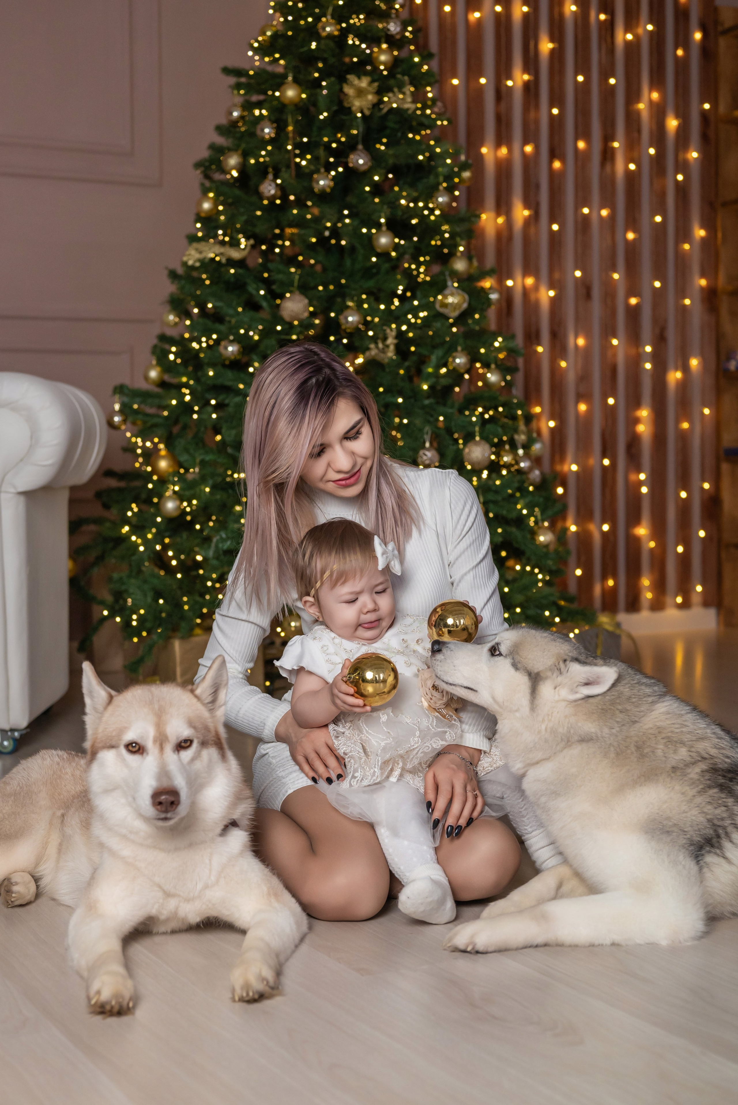 Фотопроект с хаски. Фотограф в городе Салават