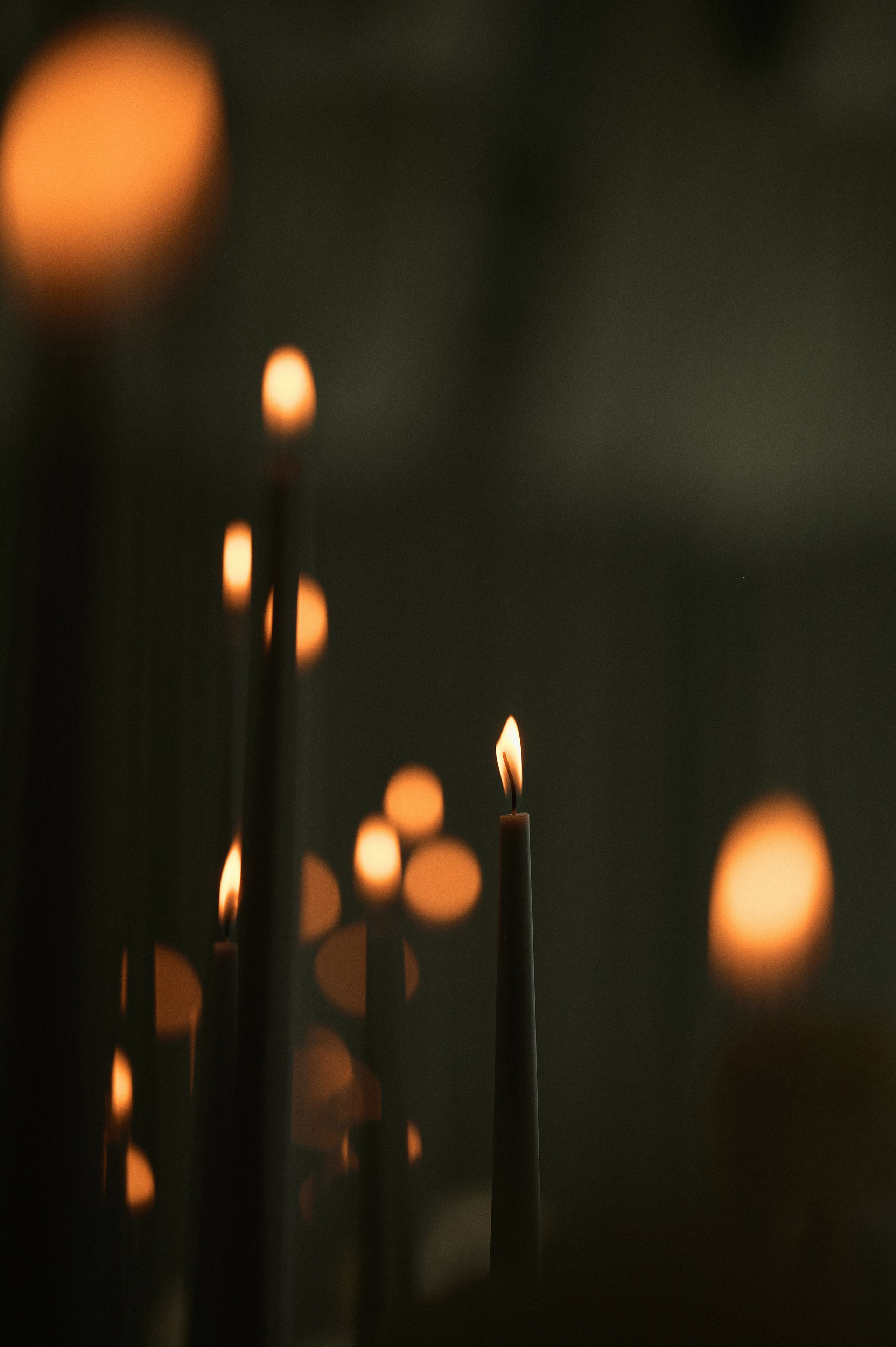 Однажды в горах. Свадебный и портретный фотограф в Брянске Скепская Лилия