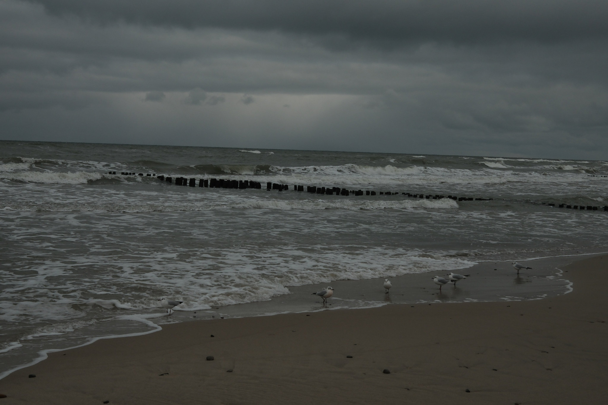 Зеленоградск. Калининградская область. Алексей Торопов фотограф