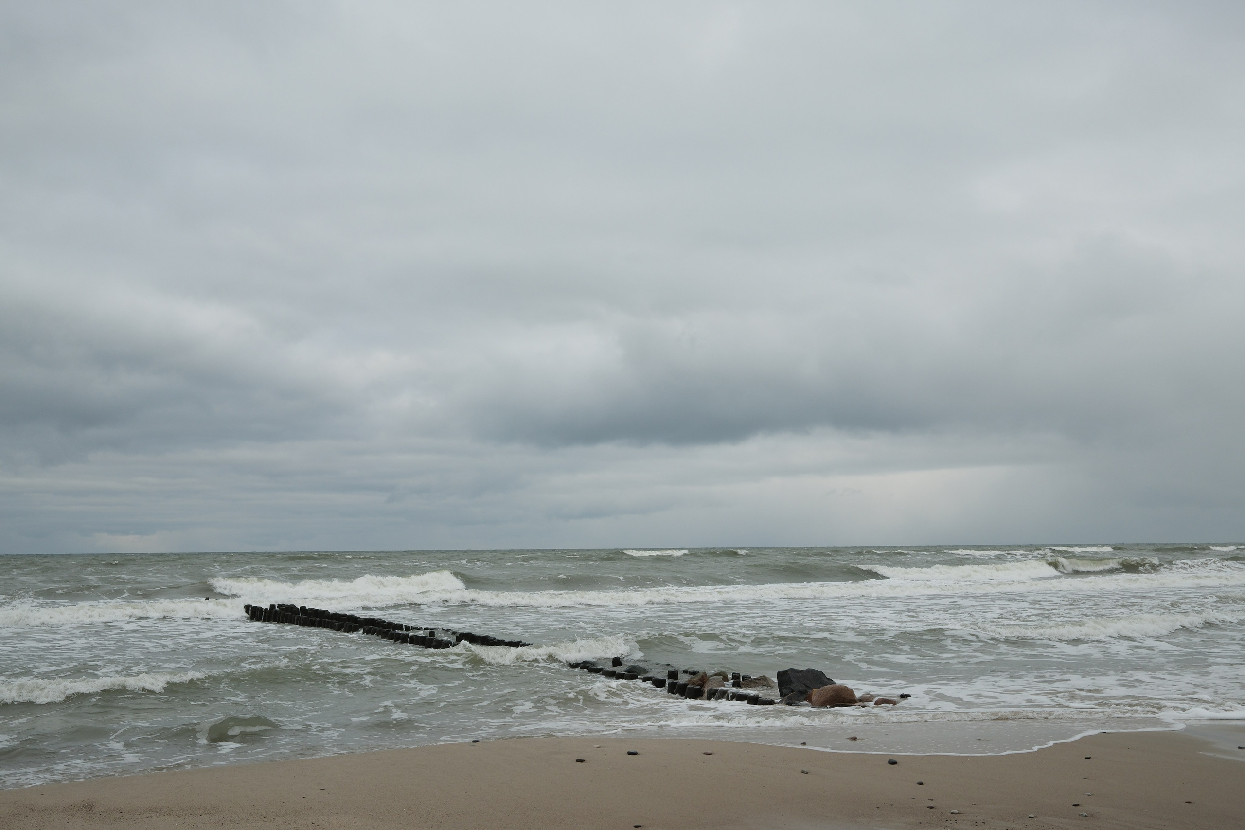 Зеленоградск. Калининградская область. Алексей Торопов фотограф