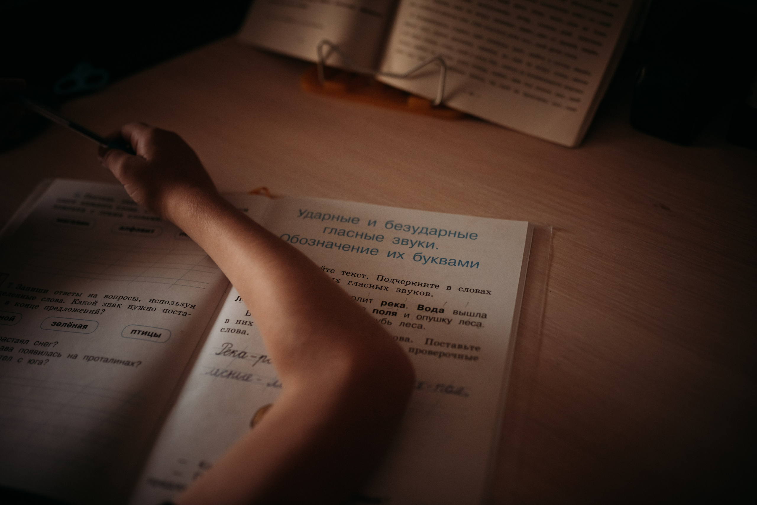 1 сентября. Семейный фотограф Олеся Батурина Рязань