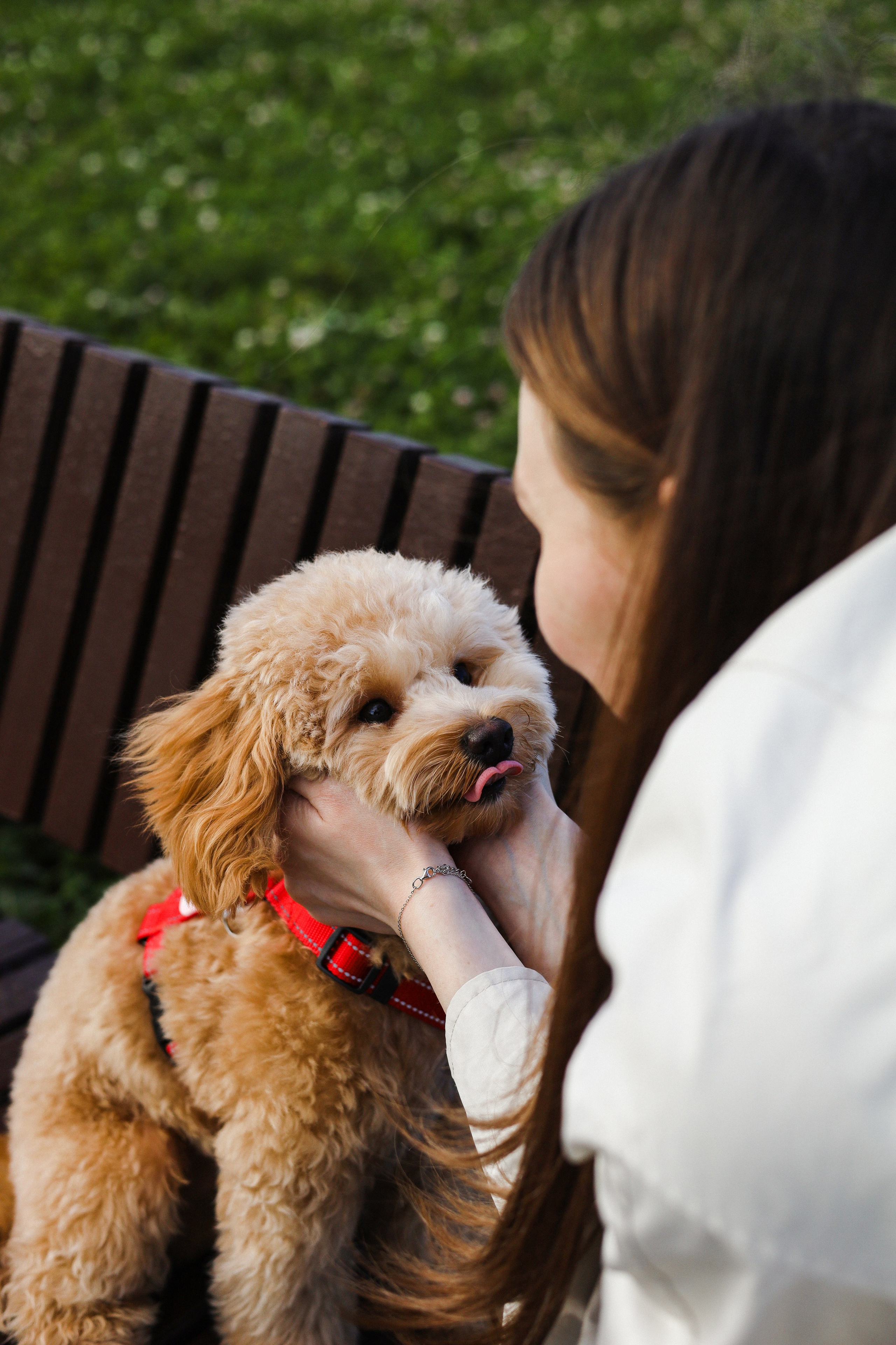 Поршик и Ксения. Фотограф-анималист Ксения Шевцова|Москва