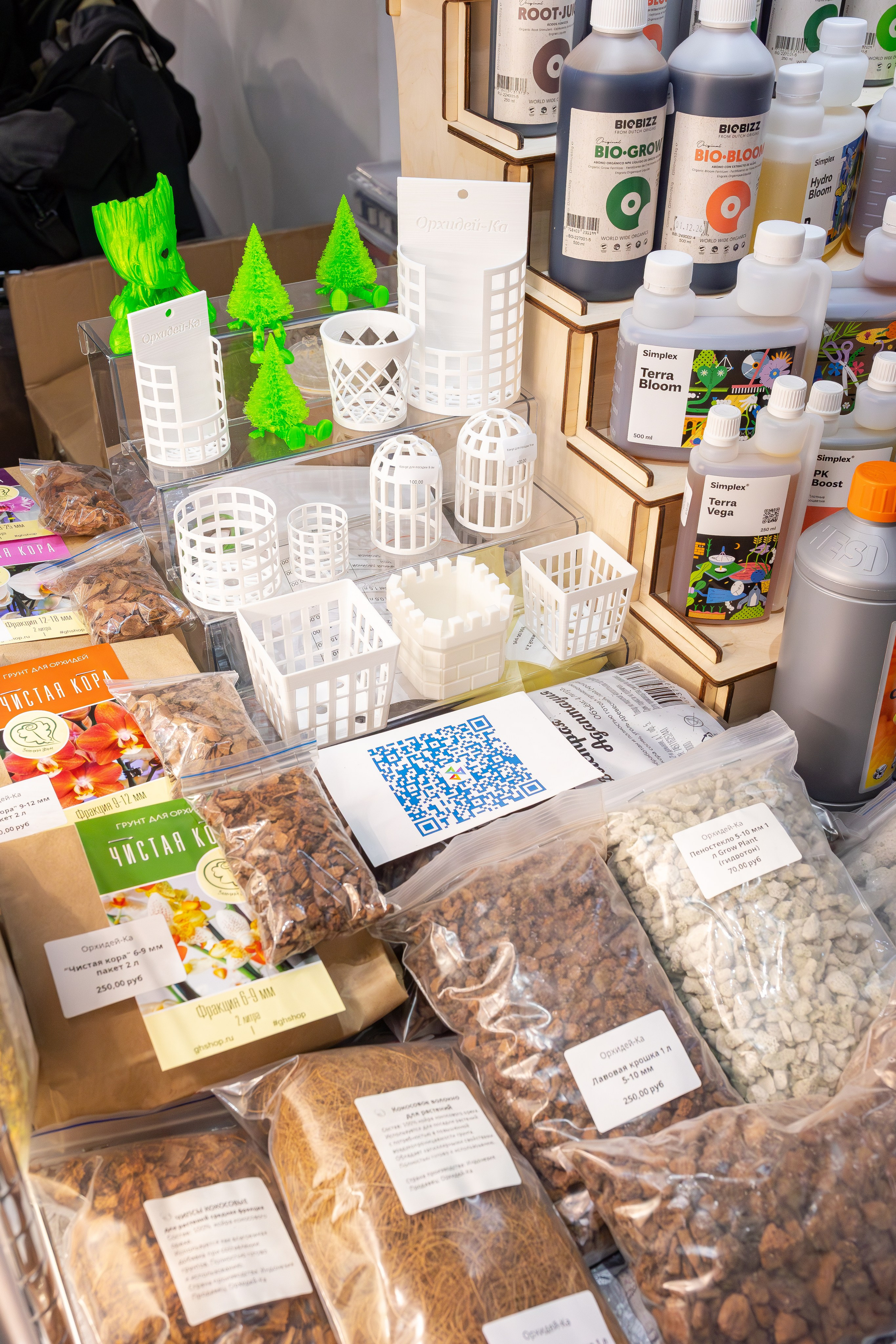 Орхидиум 12.2025. Александра Куликова фотограф, Москва