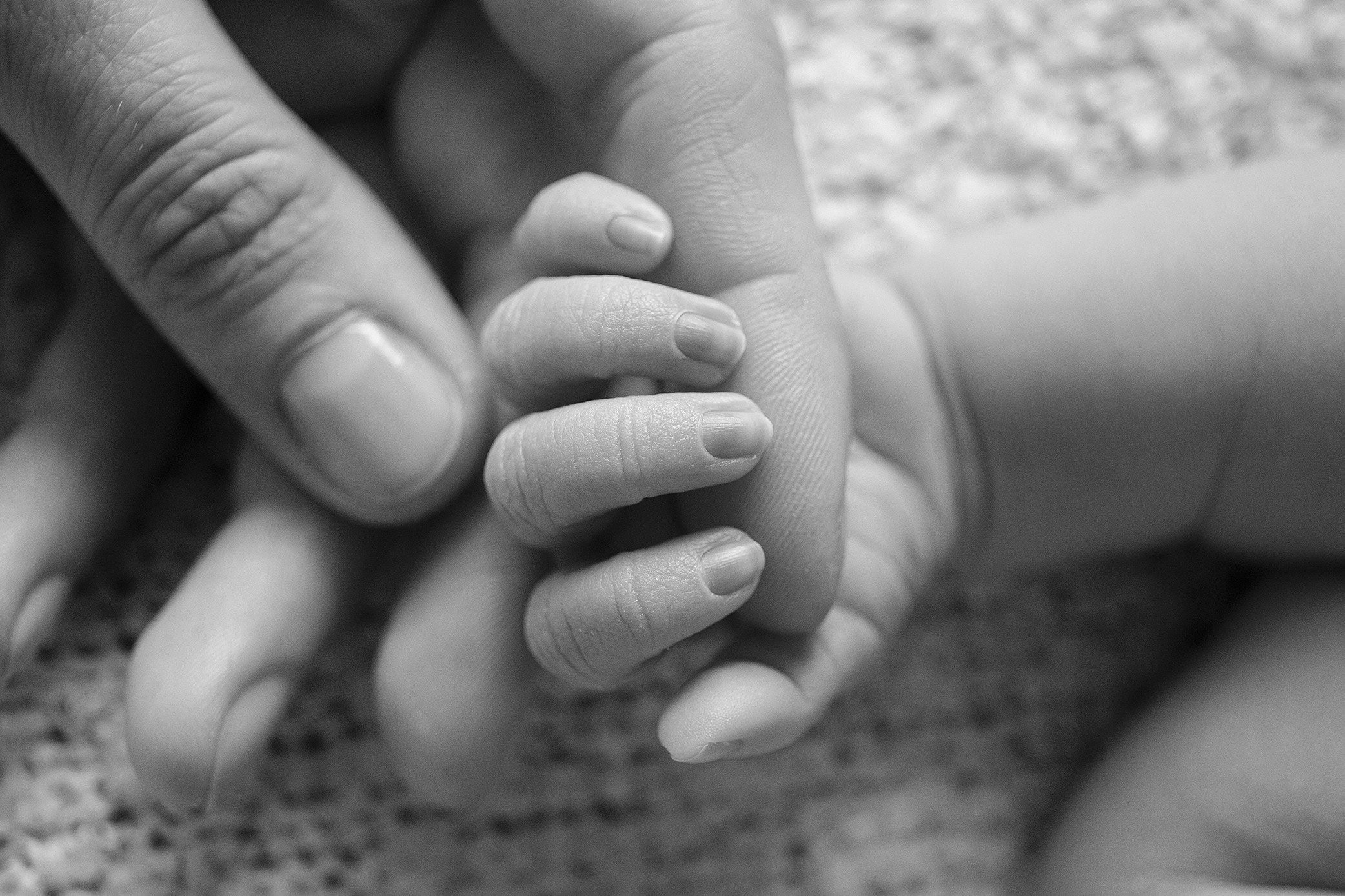 Фотосессия новорожденных в Мурманске, фотограф новорожденных. Мария Махинина — фотограф в Мурманске и Североморске