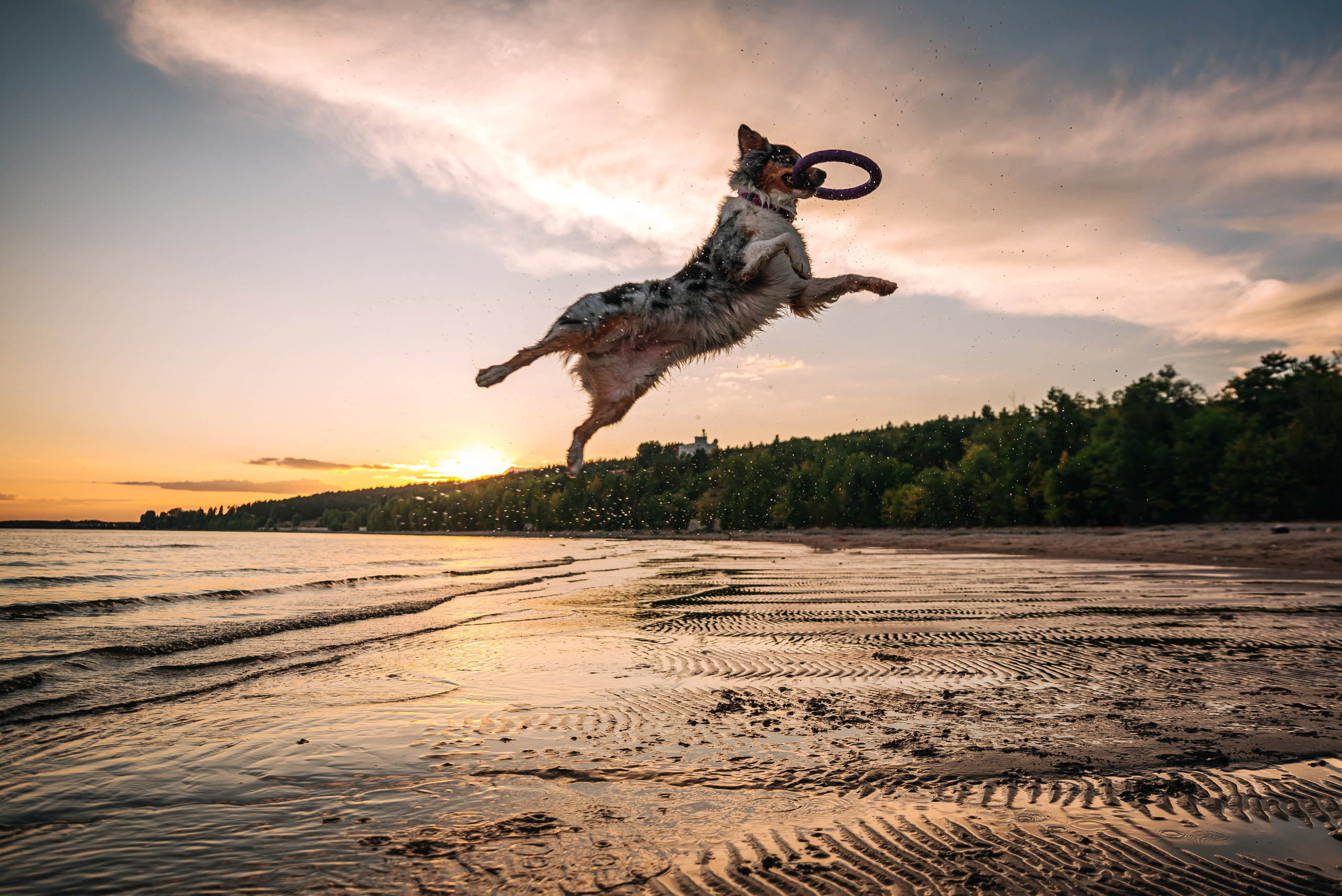 No Bad Days. Главная