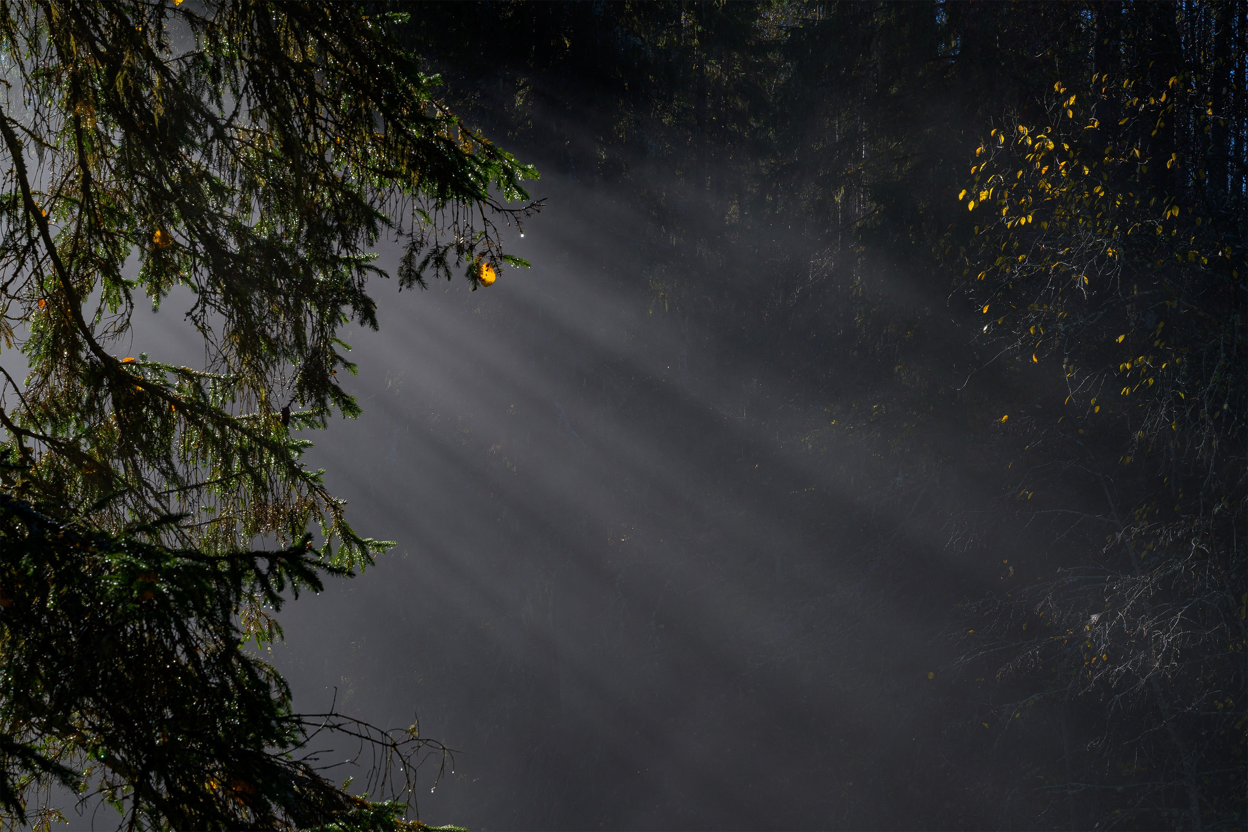 Пейзажики. Фотограф из Боровска в Калужской области