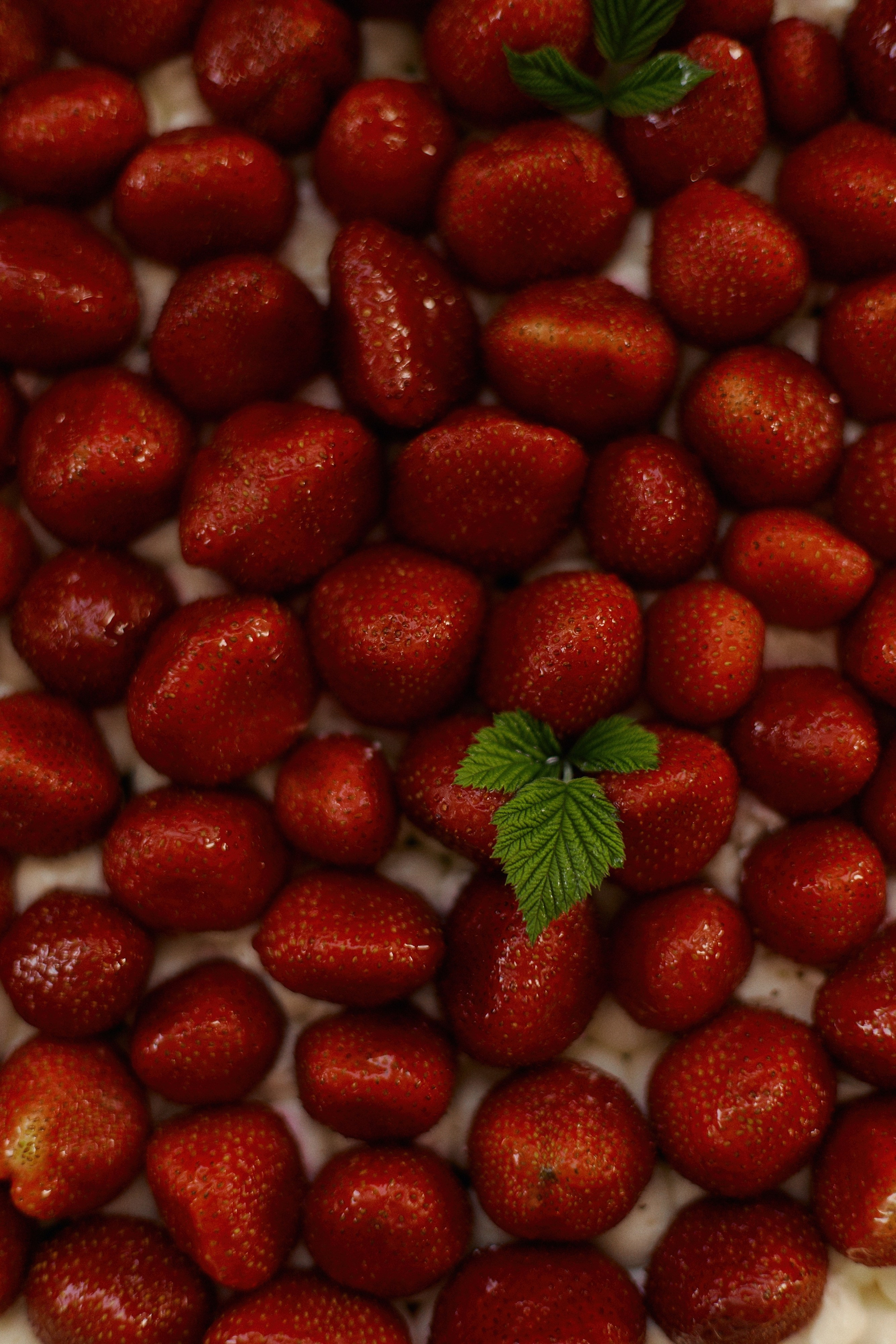 Лада и Максим. Свадебный и семейный фотограф в Иваново и Москве Мильков Вадим