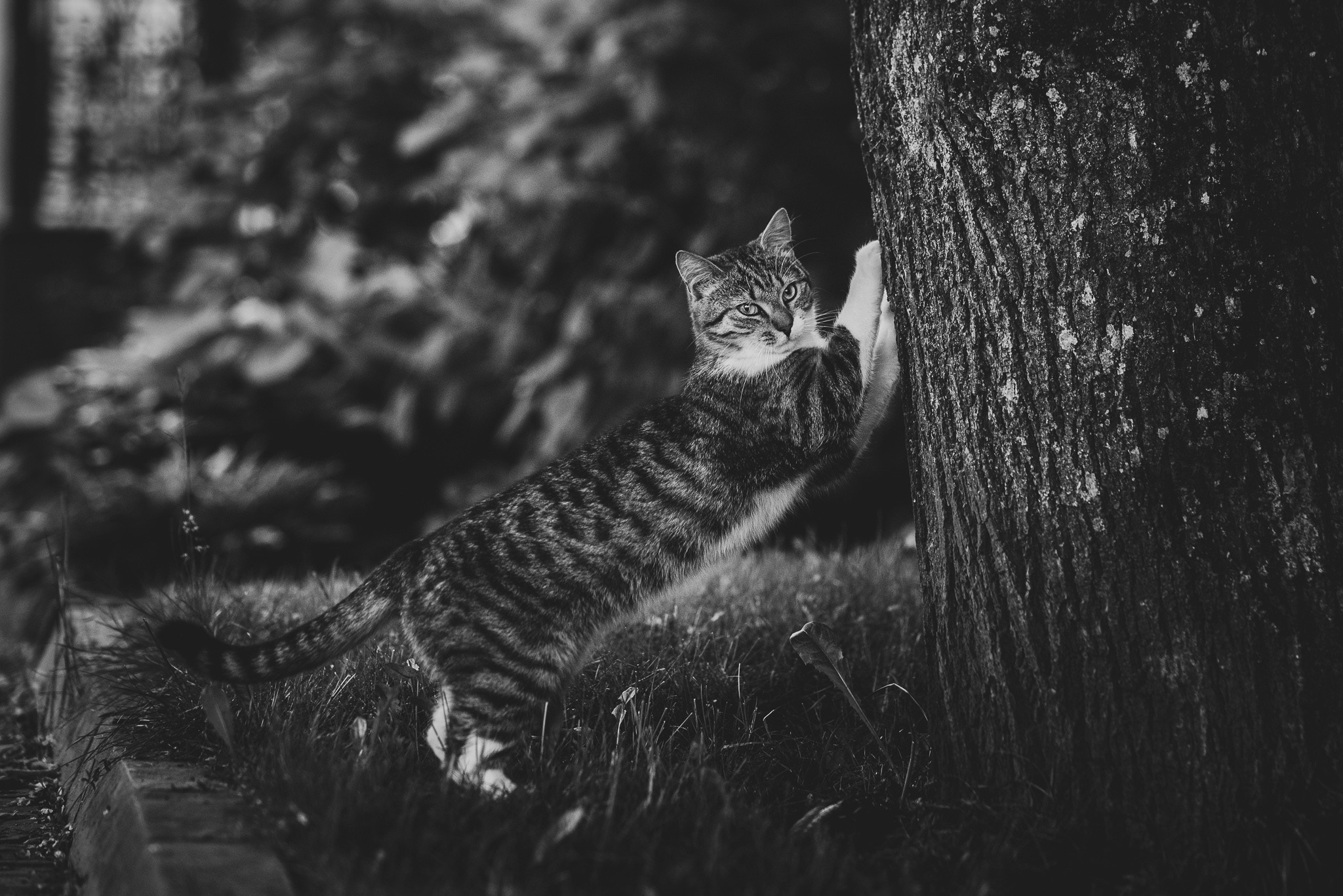 Расссвет в Псковской области. Семейный фотограф в Санкт-Петербурге Ирина Мороз