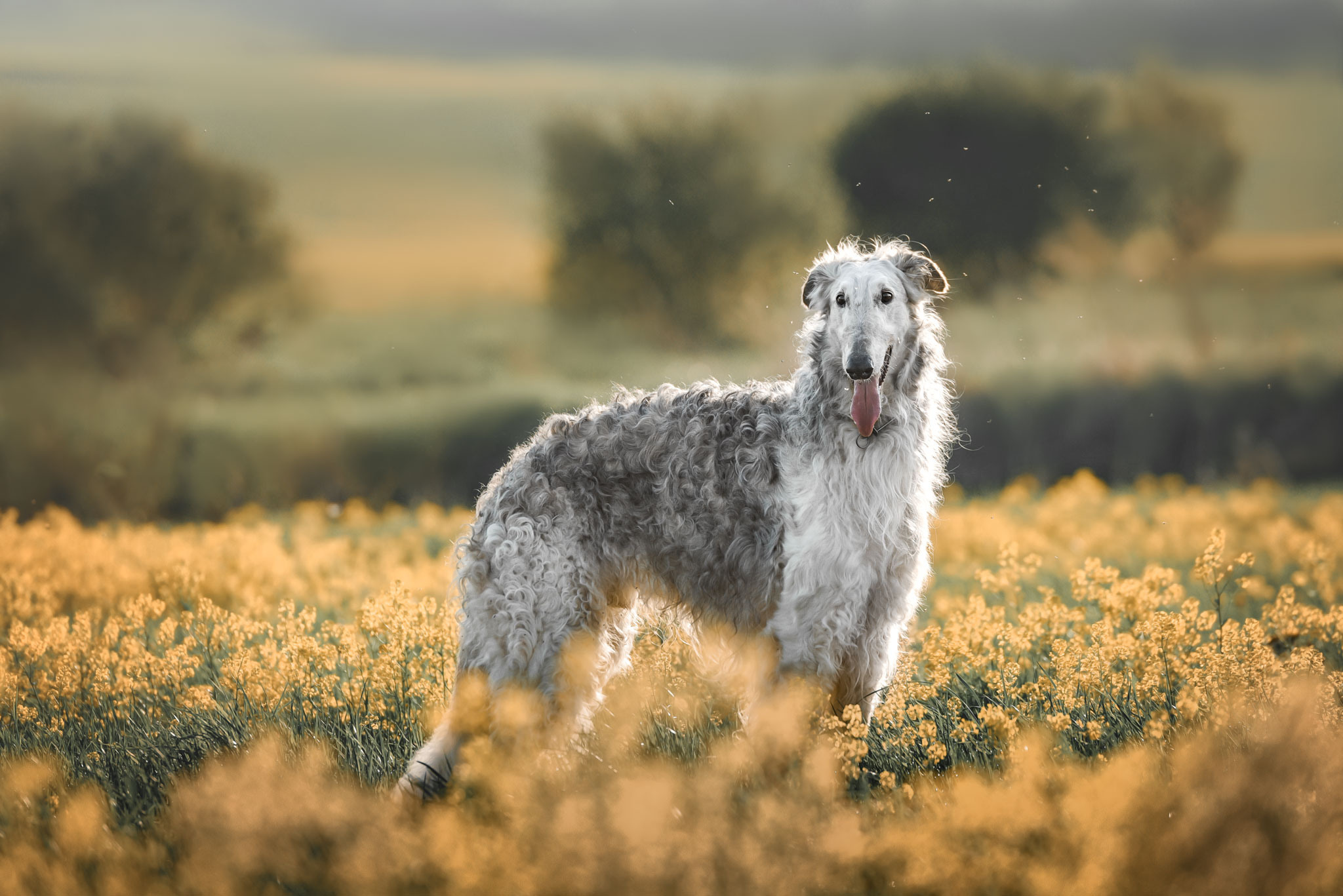 Семейный фотограф в Санкт-Петербурге Ирина Мороз