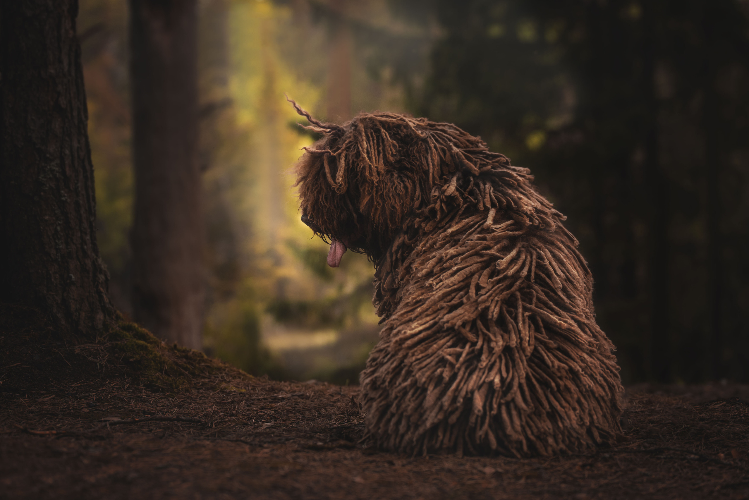 Семейный фотограф в Санкт-Петербурге Ирина Мороз