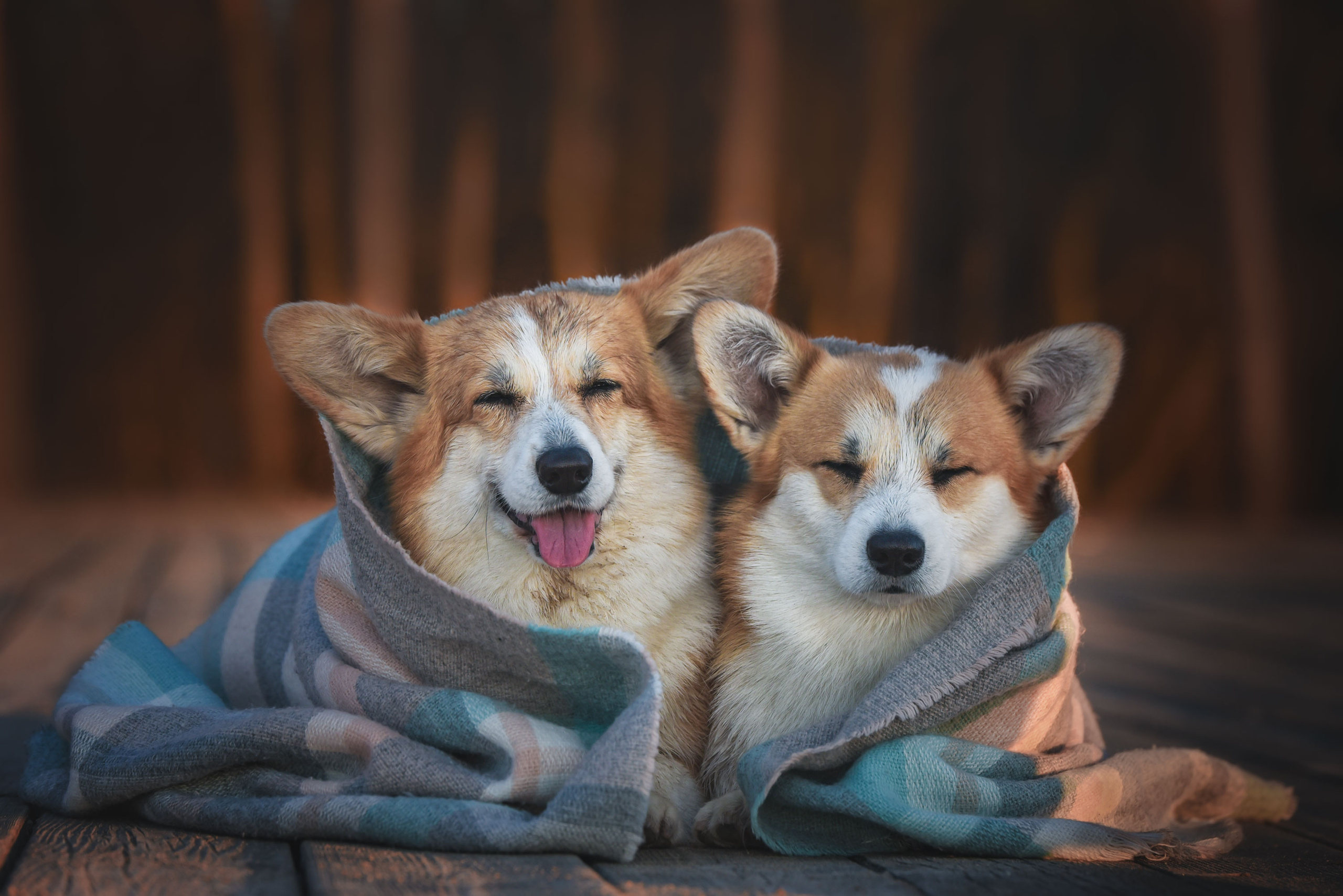 Семейный фотограф в Санкт-Петербурге Ирина Мороз