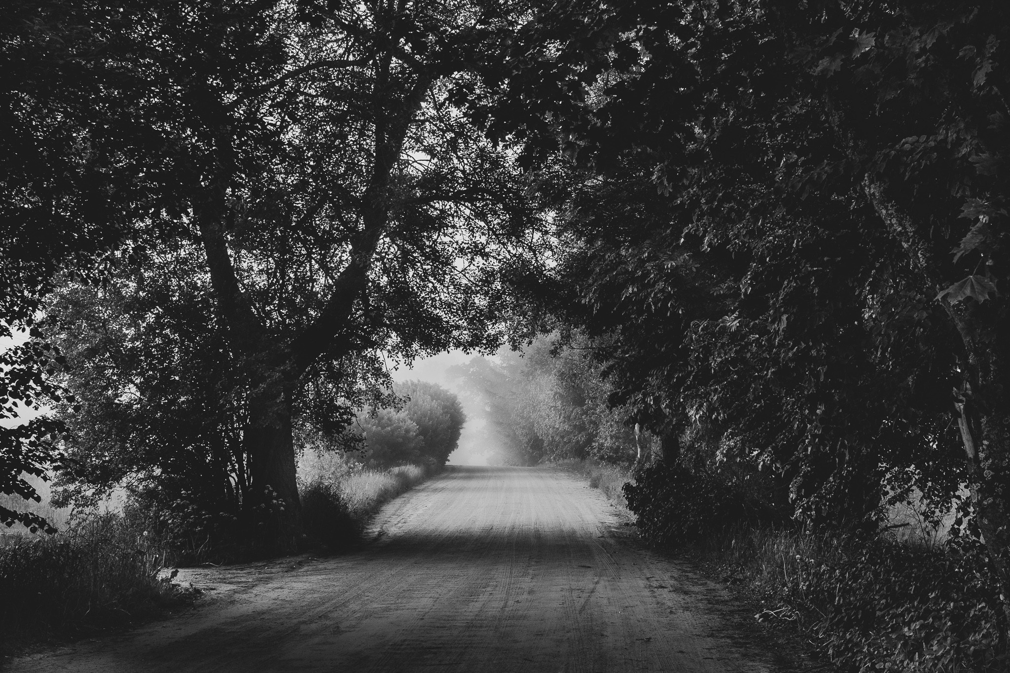 Расссвет в Псковской области. Семейный фотограф в Санкт-Петербурге Ирина Мороз