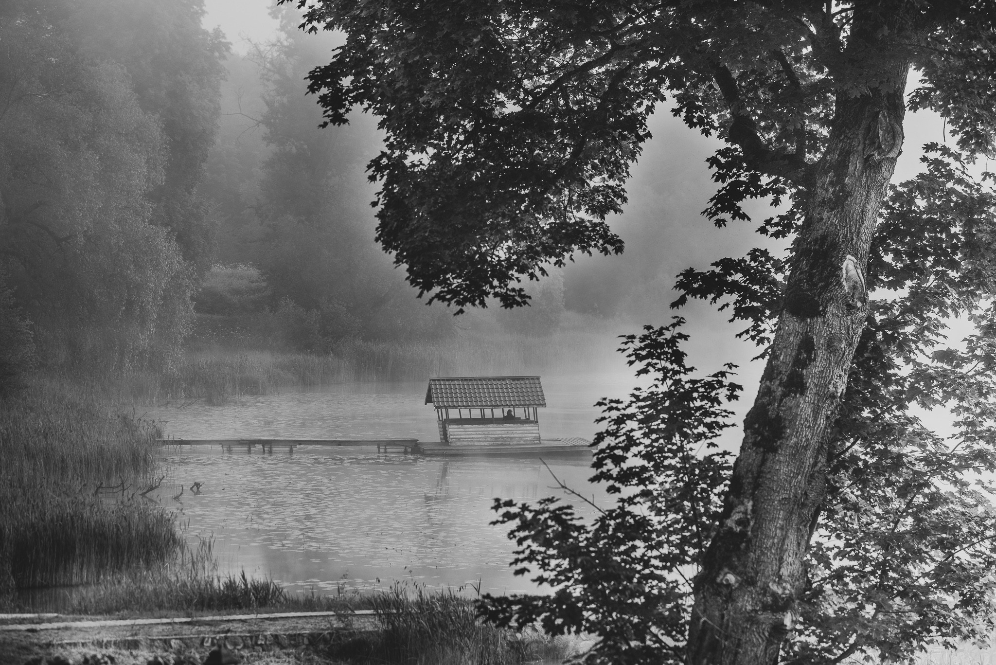 Расссвет в Псковской области. Семейный фотограф в Санкт-Петербурге Ирина Мороз