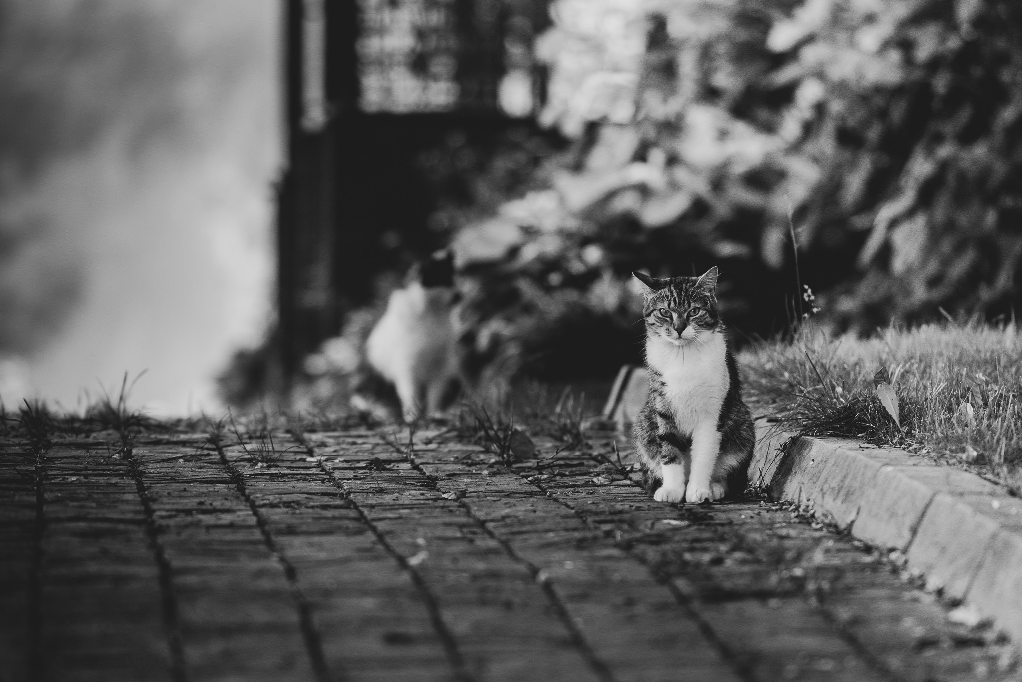 Расссвет в Псковской области. Семейный фотограф в Санкт-Петербурге Ирина Мороз