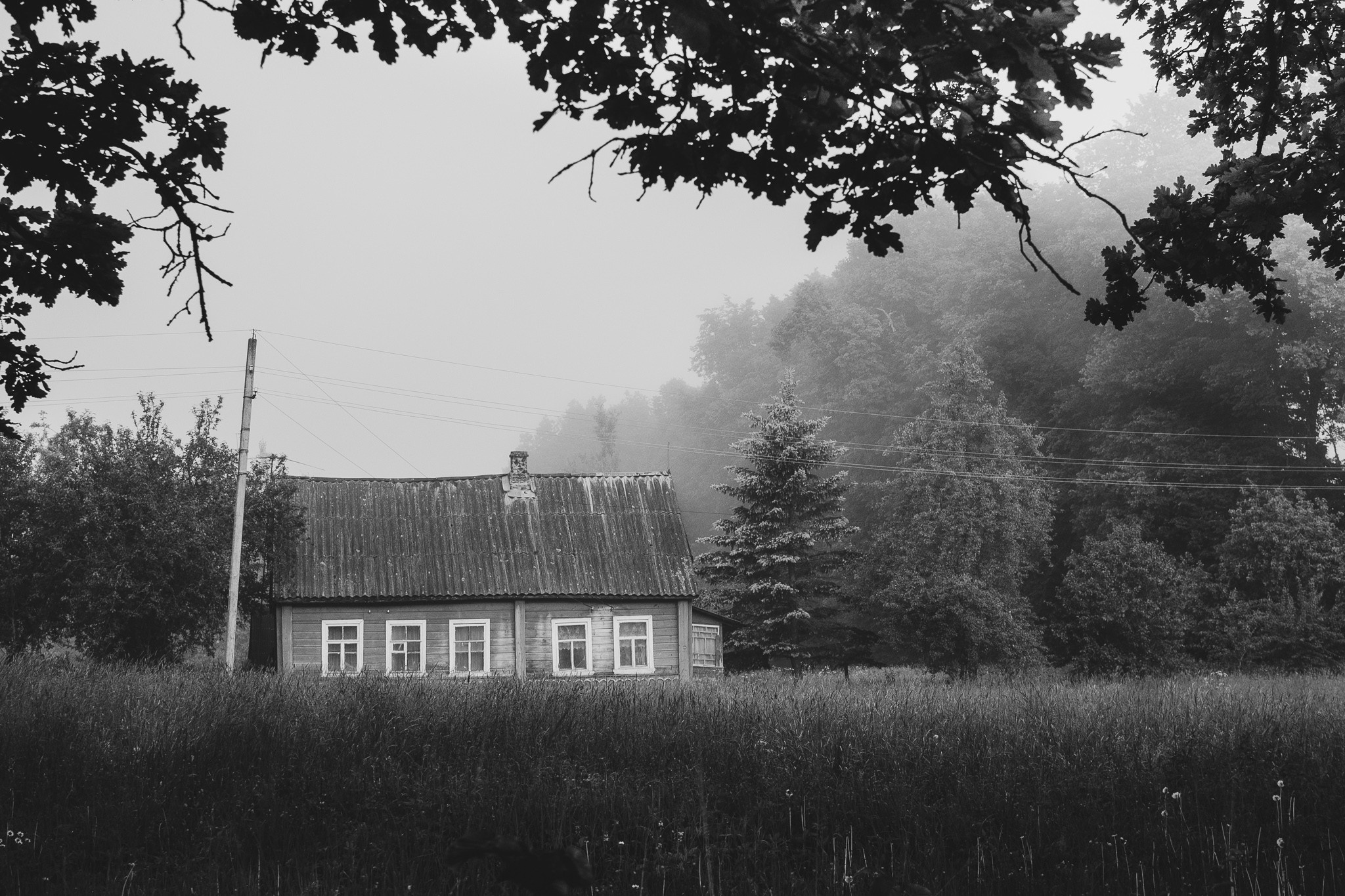Расссвет в Псковской области. Семейный фотограф в Санкт-Петербурге Ирина Мороз