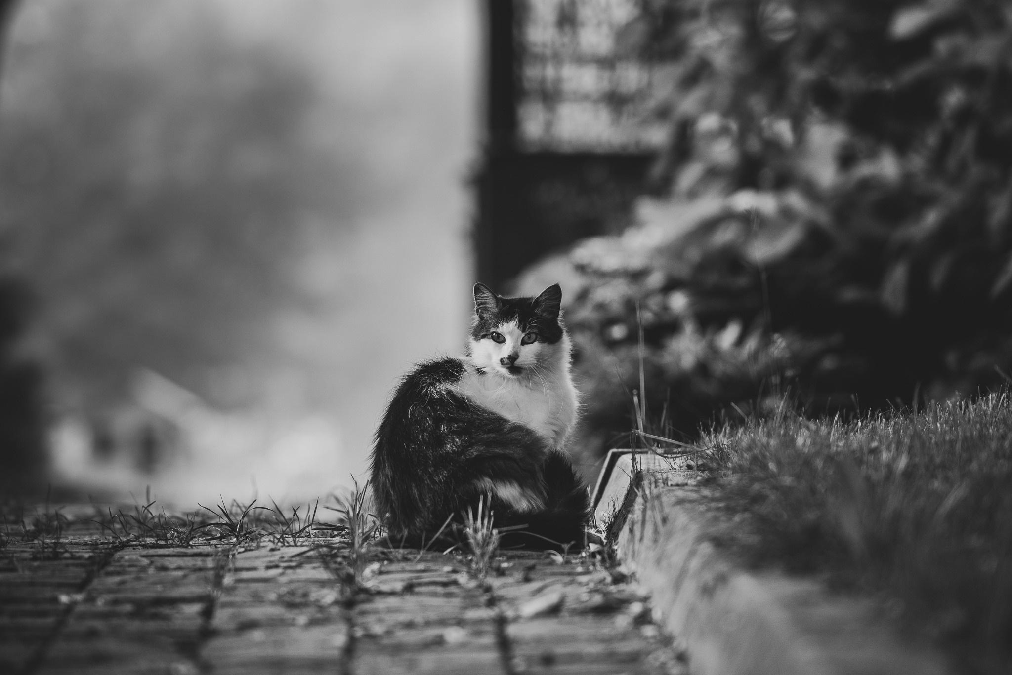 Расссвет в Псковской области. Семейный фотограф в Санкт-Петербурге Ирина Мороз