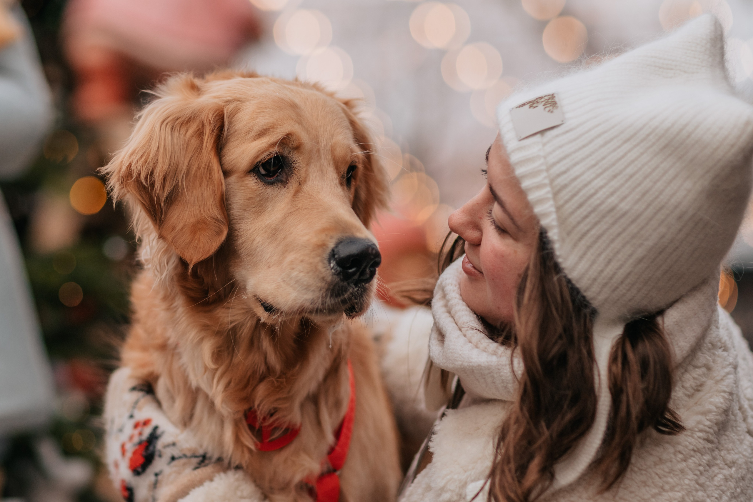 Бетти, Катя и Лёша. Новогодняя история. Семейный фотограф анималист Мария Крючкова