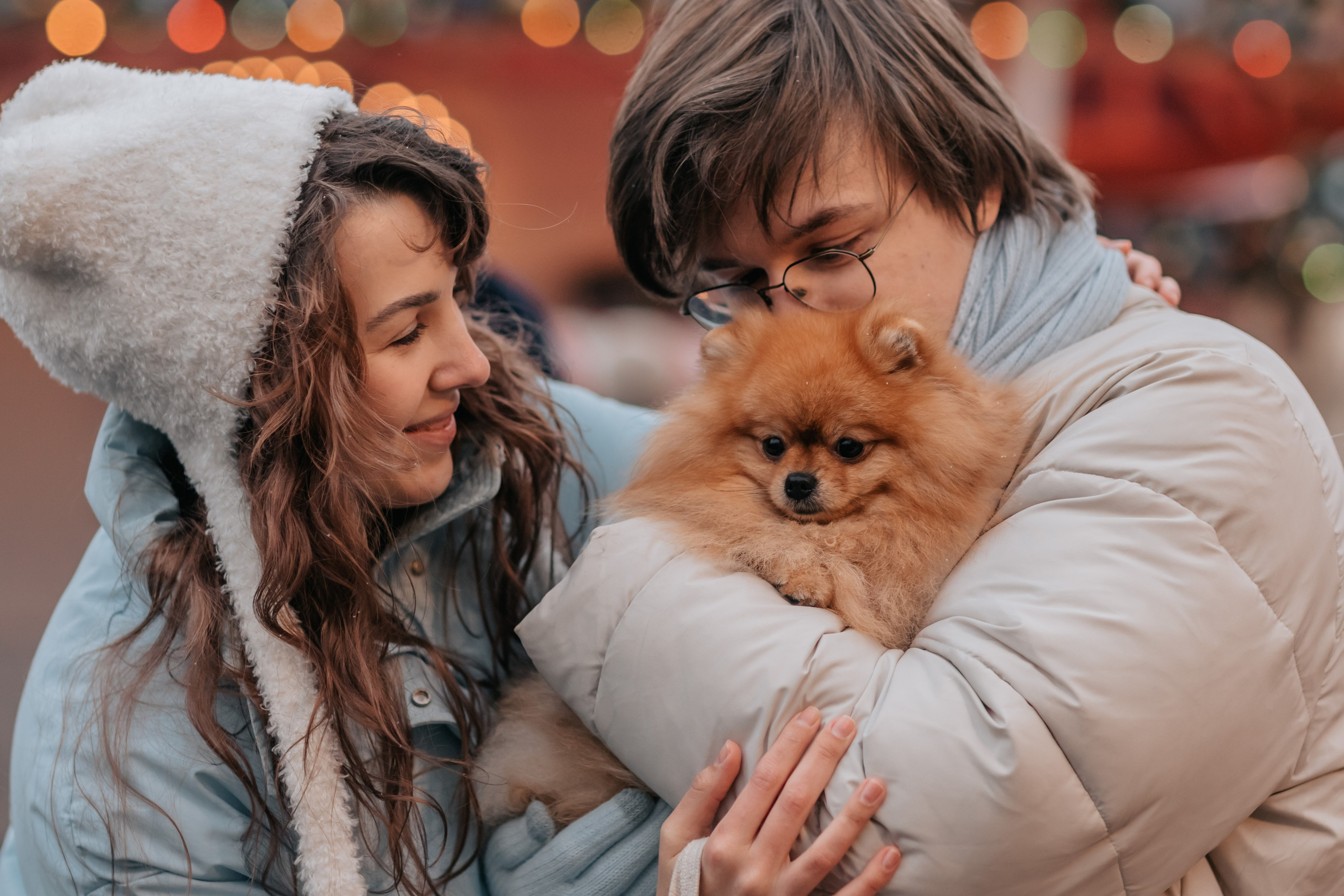 Тоффи и семья на новогодней ярмарке. Семейный фотограф анималист Мария Крючкова