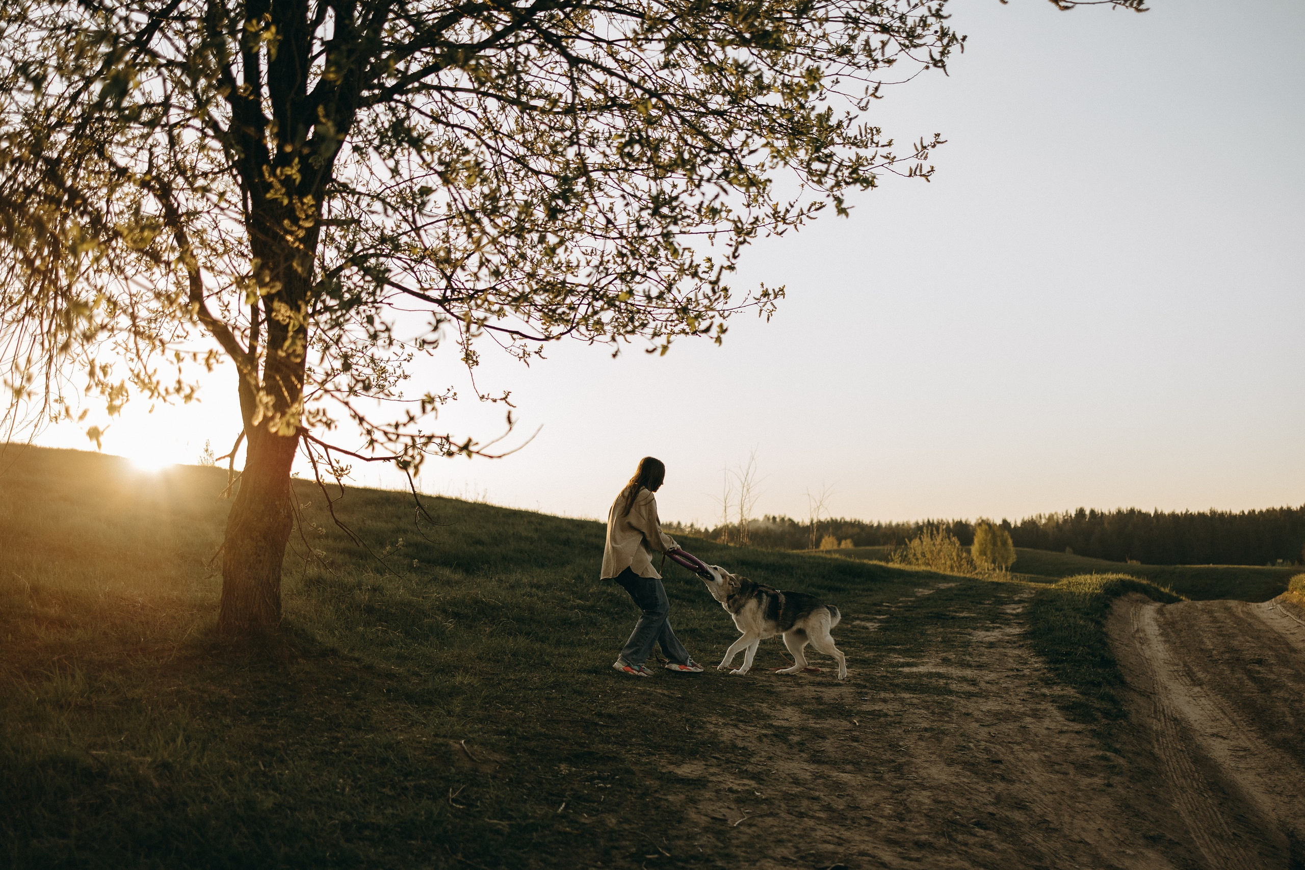 Саша и Зельда. Фотограф — Анималист | Санкт-Петербург