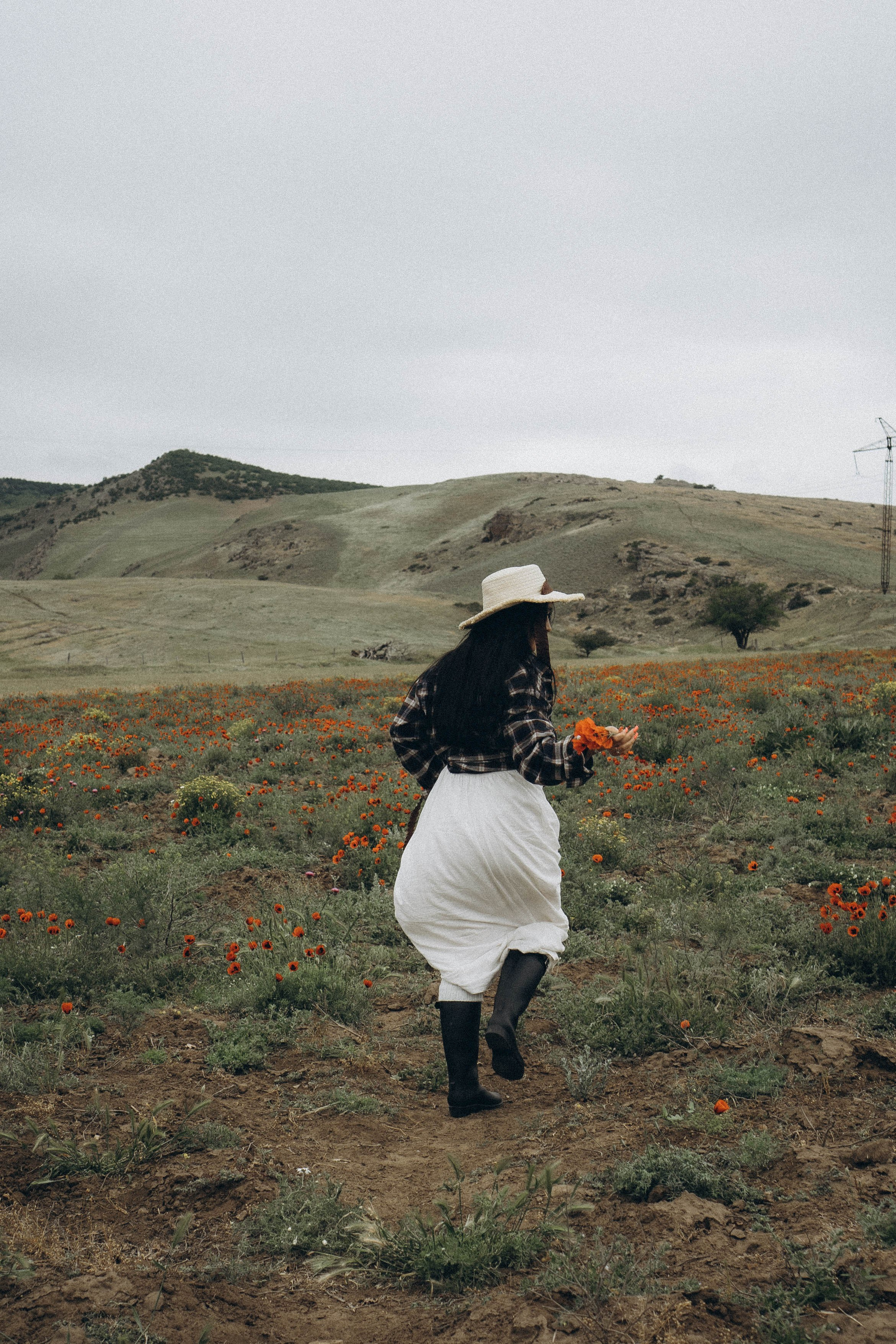 Маковое поле. Профессиональный фотограф, Санкт-Петербург — Виктория Богомолова