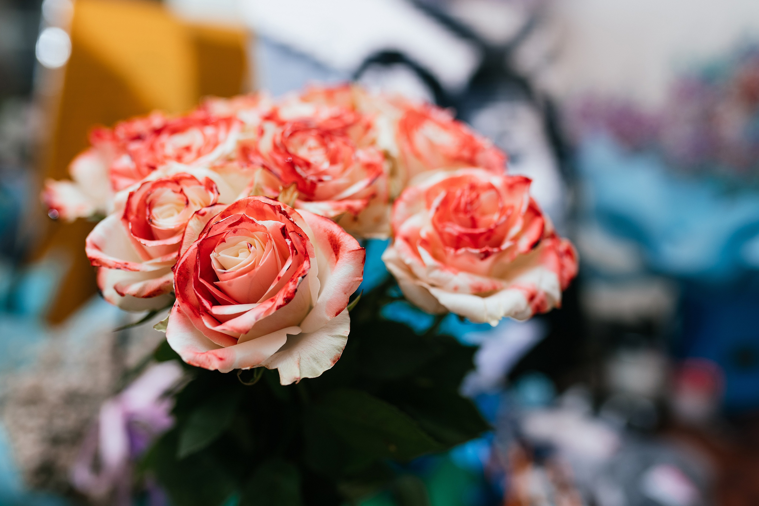 Wedding day Halloween party. Свадебный, семейный фотограф в Рязани Лена Брант