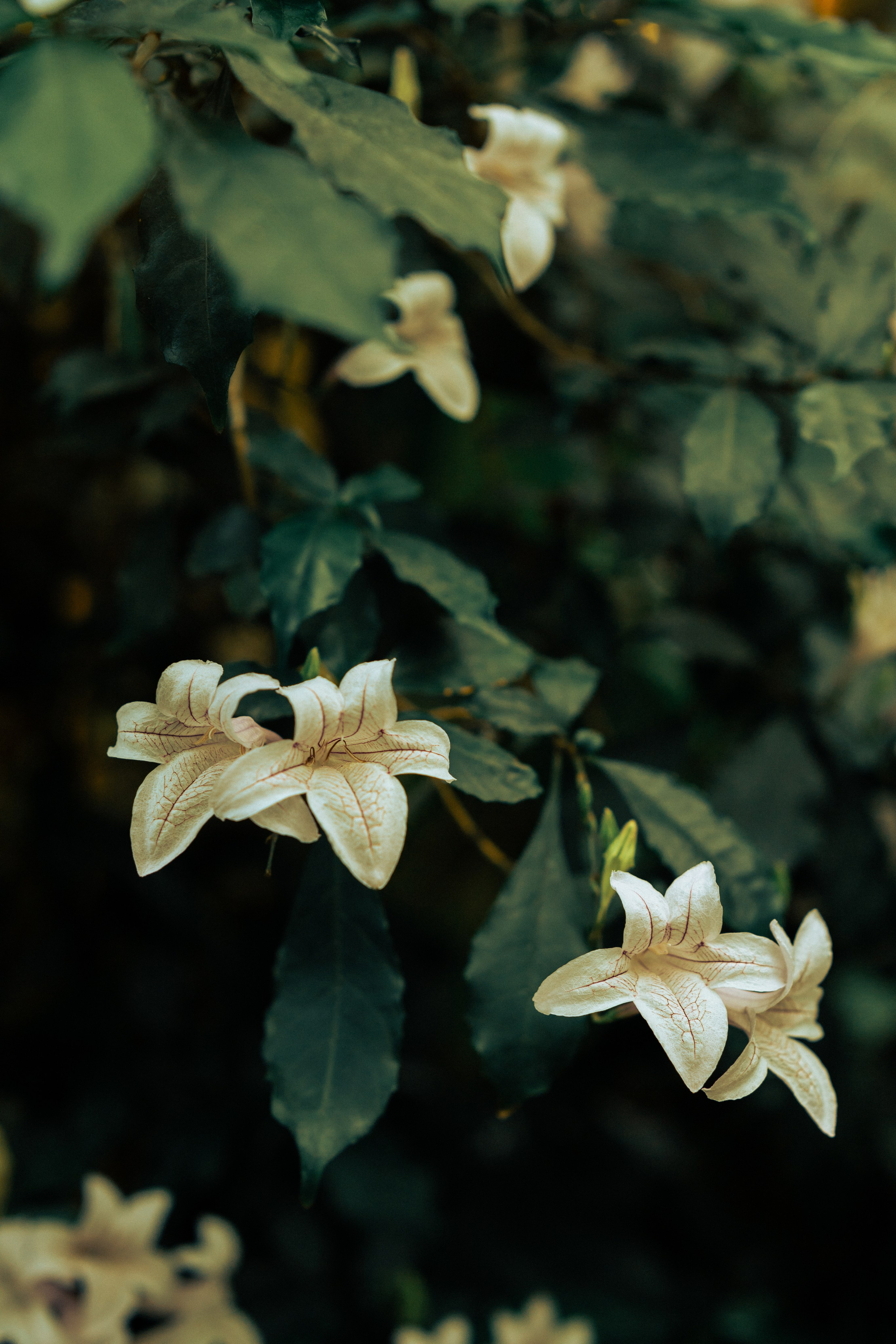 Весна идет-весне дорогу!. Фотограф в Москве и МО Влада Обласова