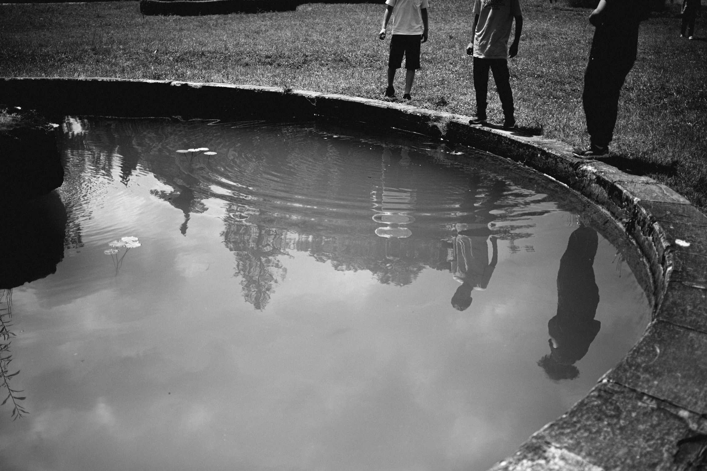 Lifestyle. Bivol images