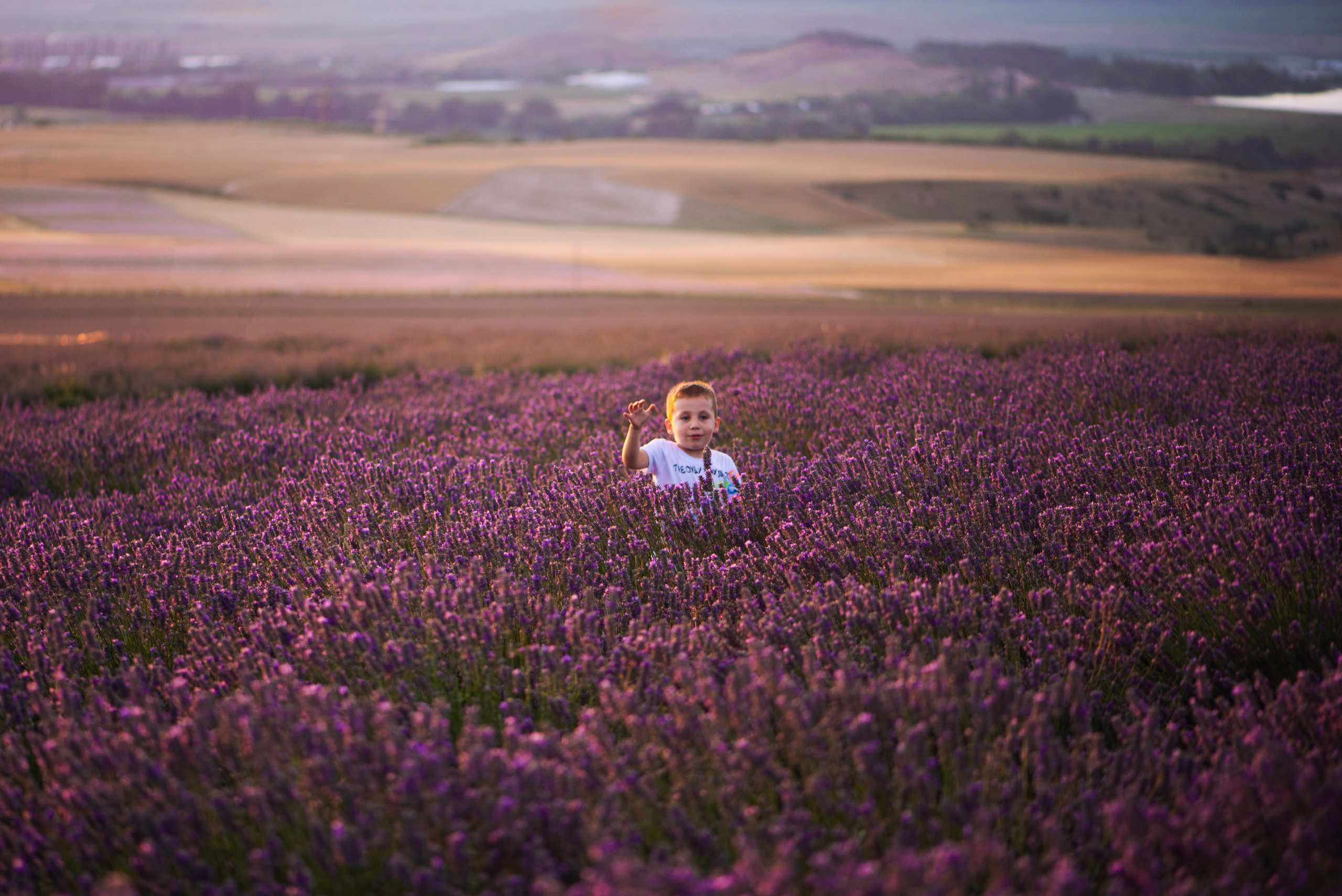 Лавандовые фотосессии. Фотограф Крым Мария Зацаринная