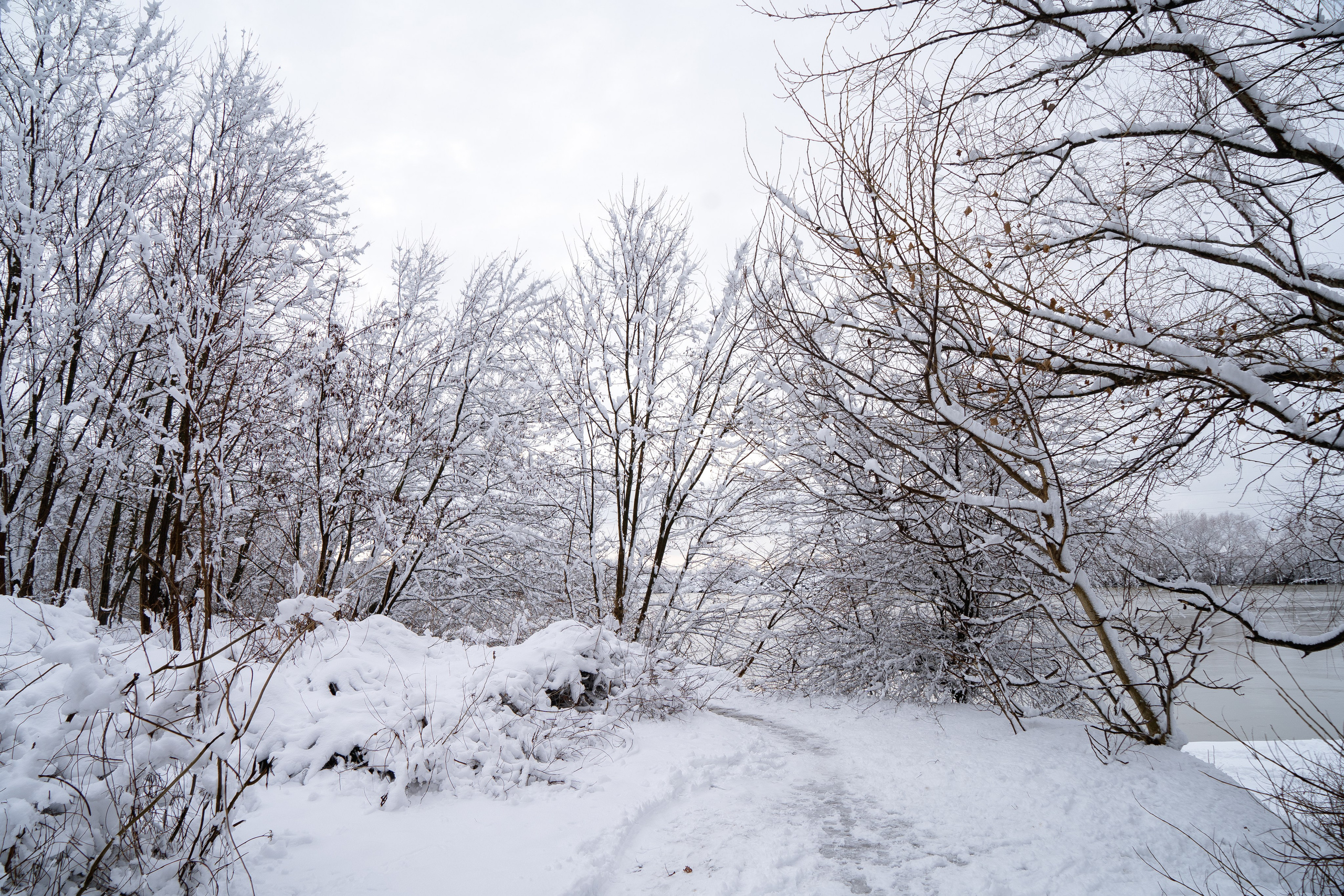Зима 2024. Свадебный и семейный фотограф/видеограф в Краснодаре Наталья Осинская