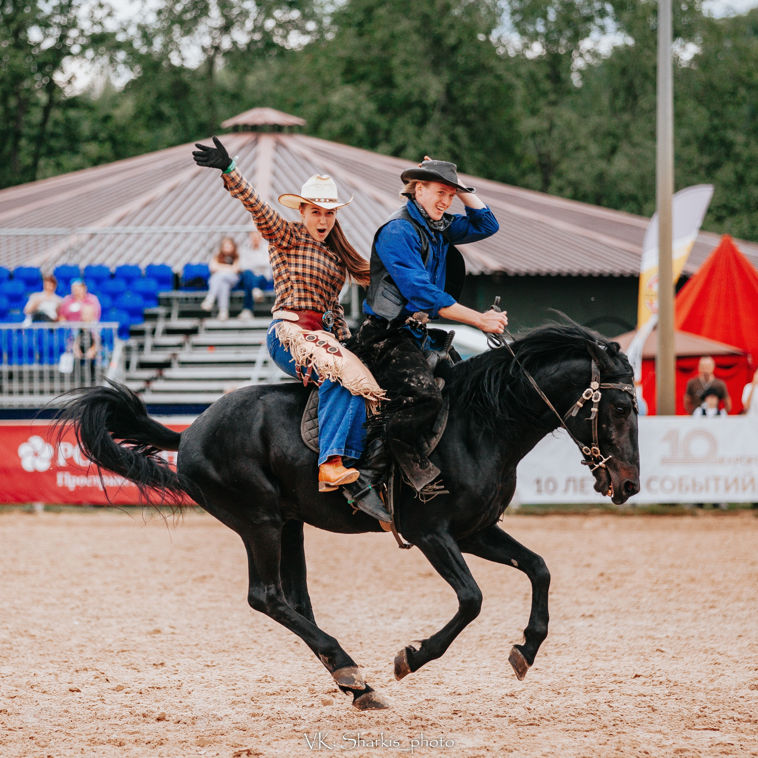 Лошади. Главная