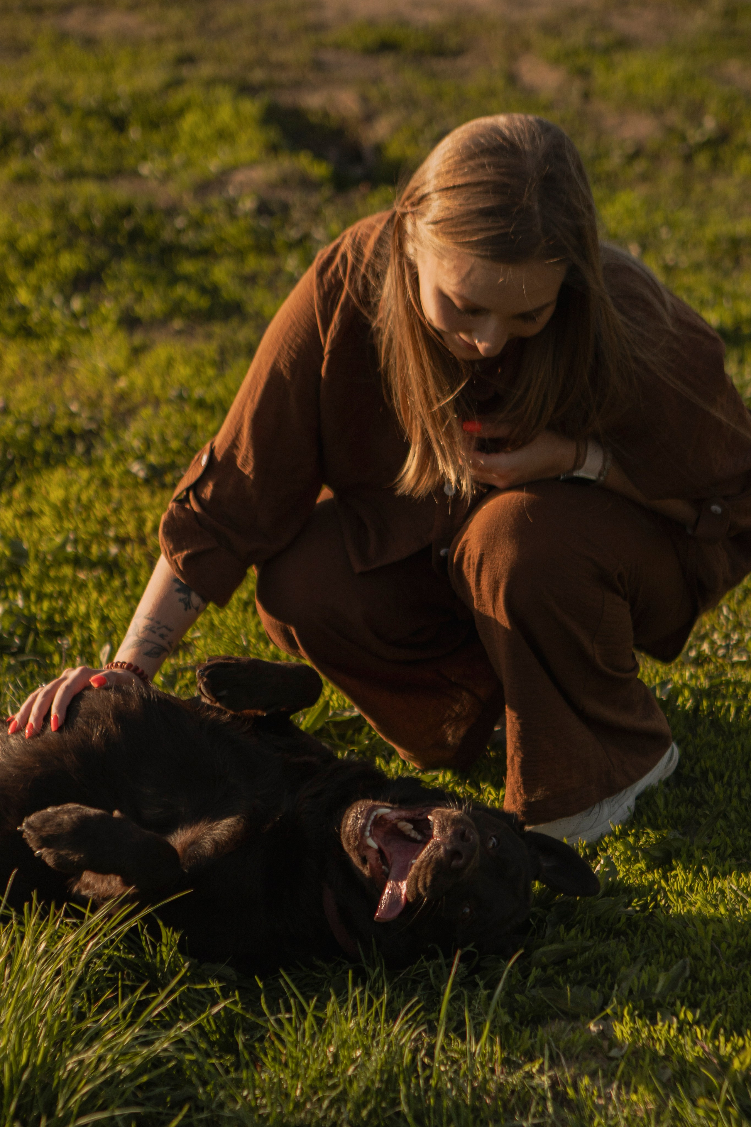 Закатная. Фотограф-анималист в Санкт-Петербурге Алина Яхонт