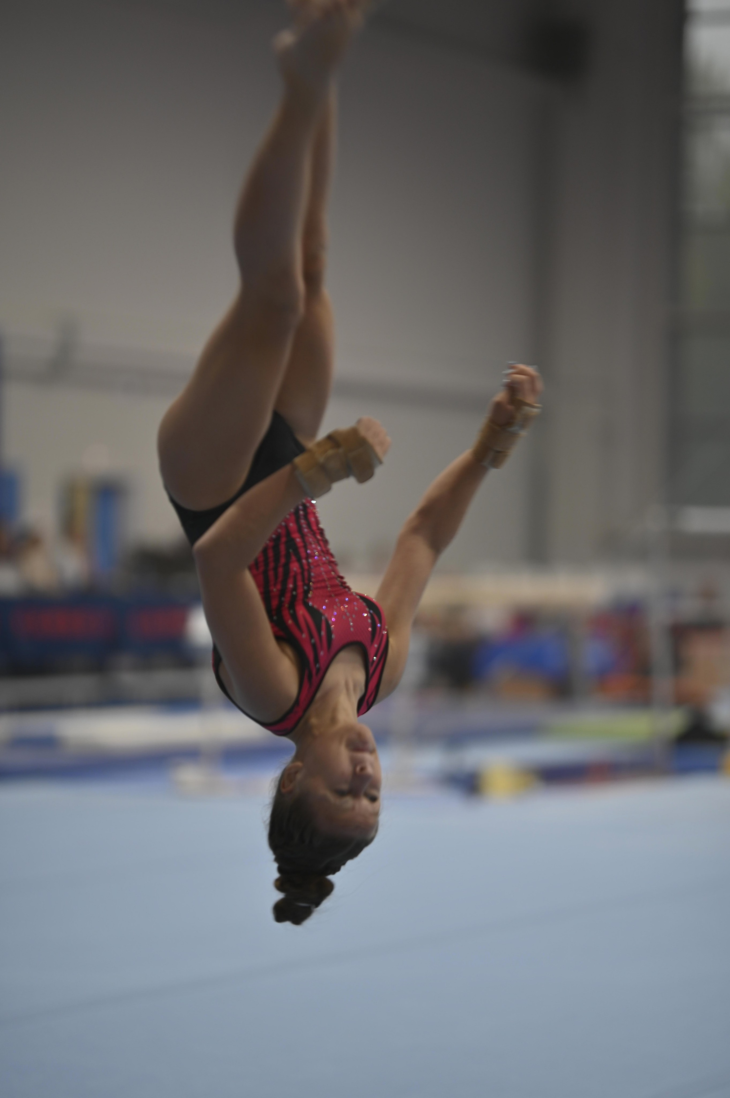 Турнир Елены Замолодчиковой. Фотограф Ваших событий 📸