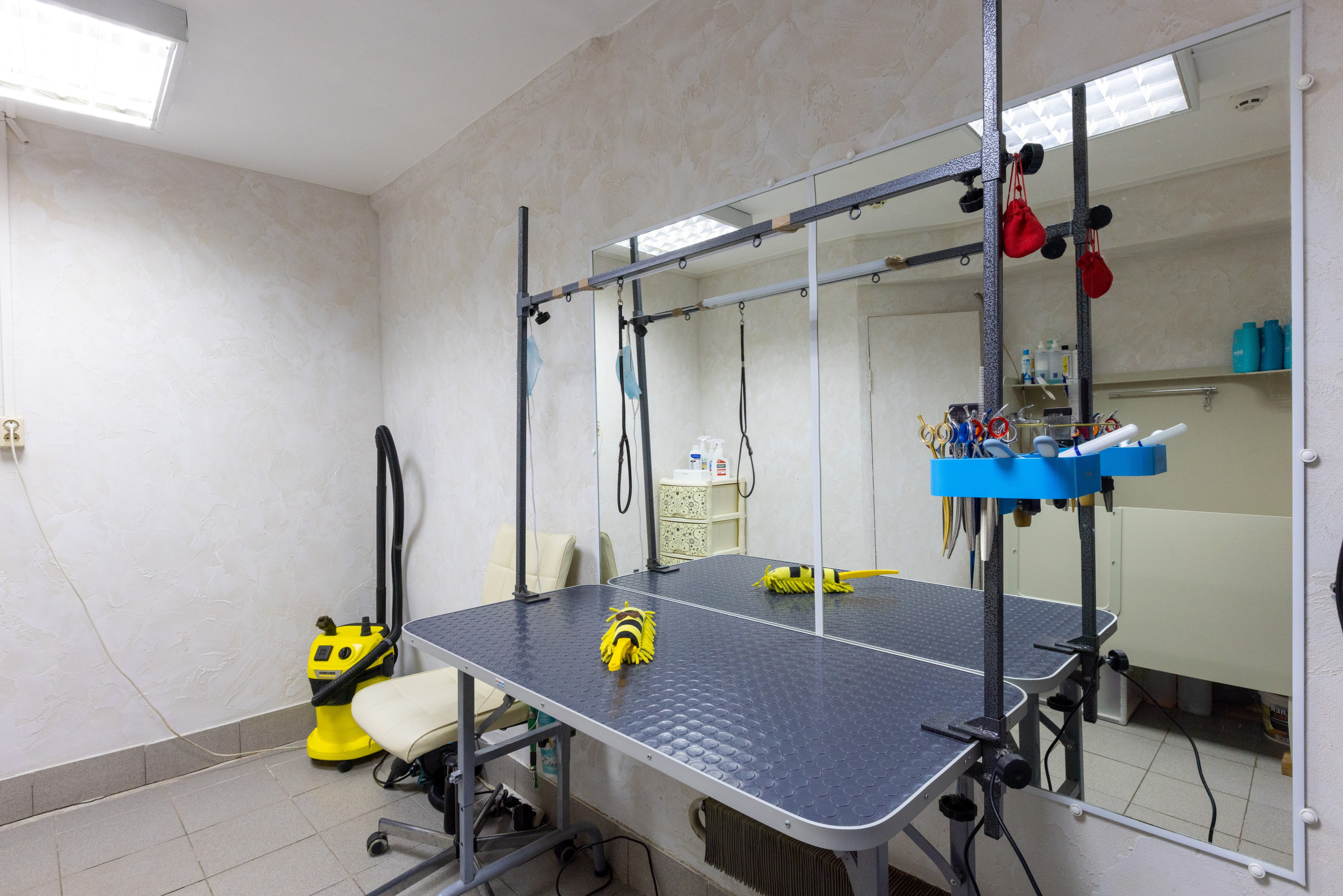 ГРУММИНГ. Фотограф в Туле Крупский АнДРей. Фотостудия «КАДР71» в Туле